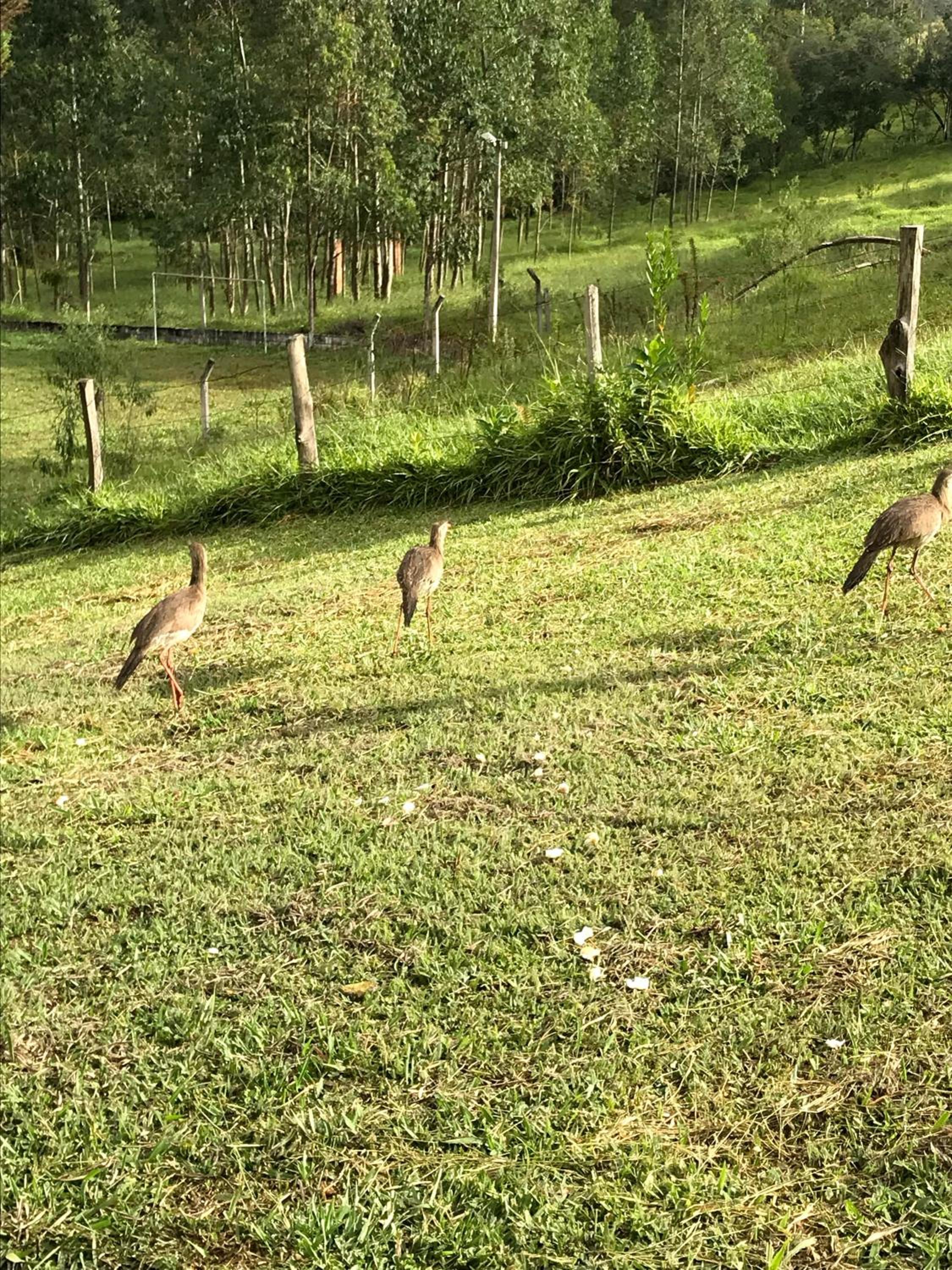 Paraíso nas Montanhas