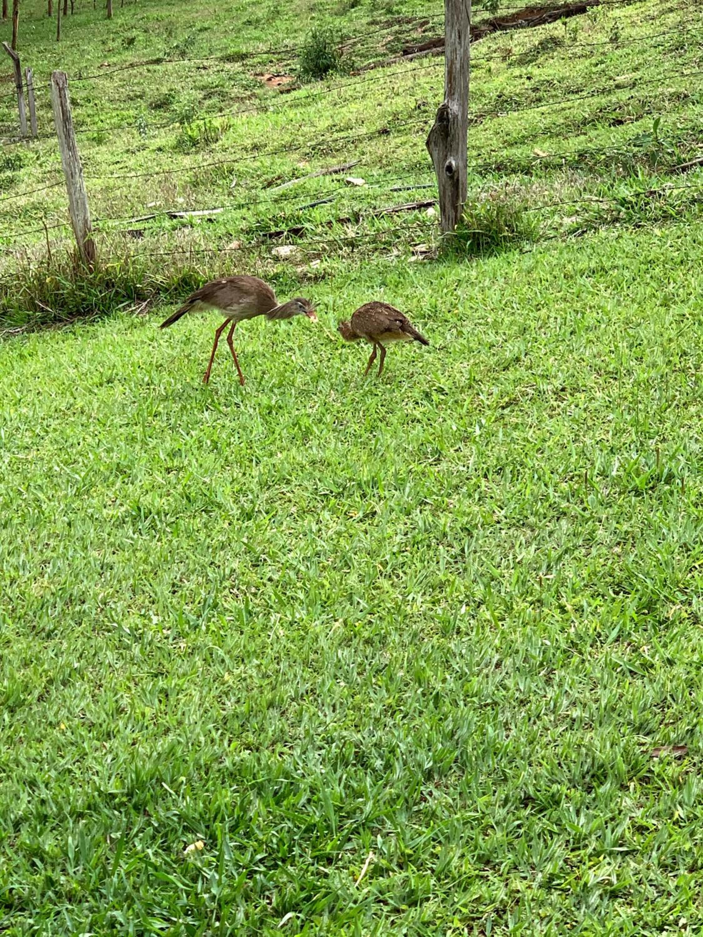 Paraíso nas Montanhas