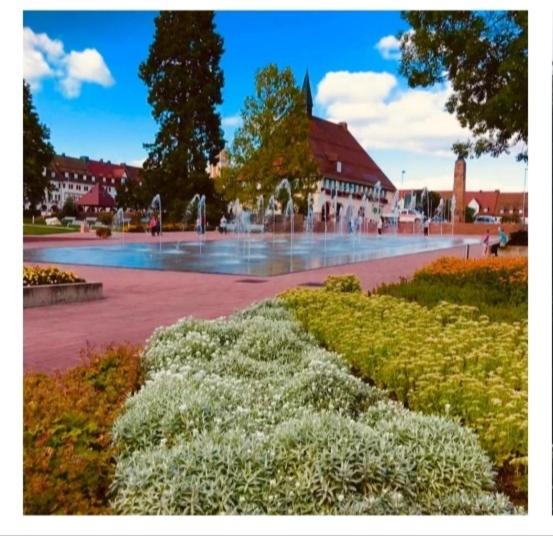 Traumblick FeWo mit Pool
