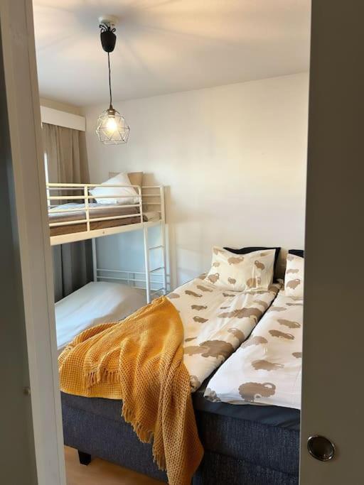 Apartment of arctic circle