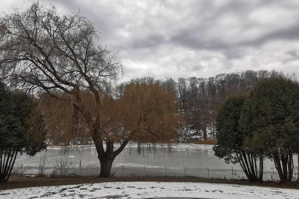 Waterfront heated pool seasonal Acre yard BBQ