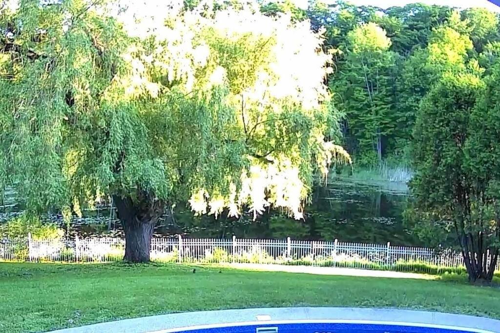 Waterfront heated pool seasonal Acre yard BBQ