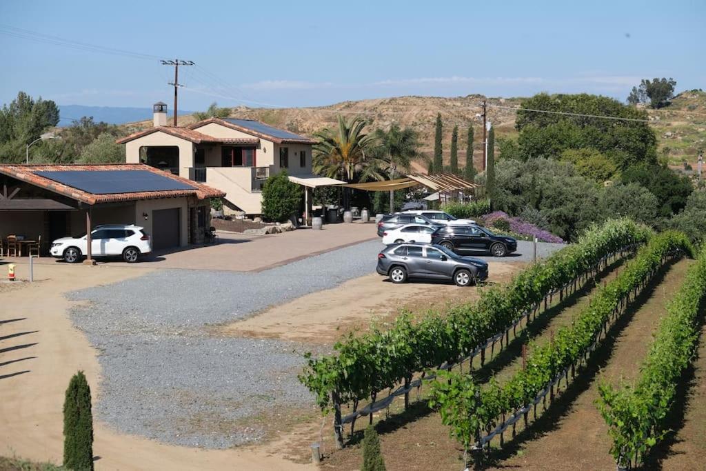 Luxury Italian Villa, Boutique winery, San Diego view 4