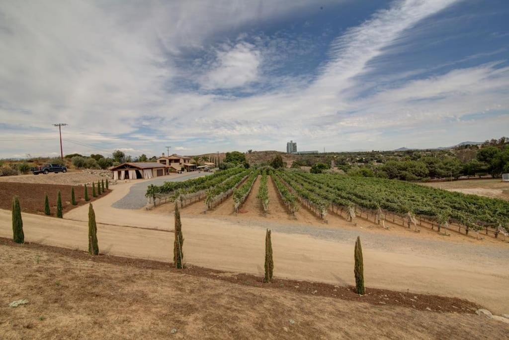 Luxury Italian Villa, Boutique winery, San Diego view 5