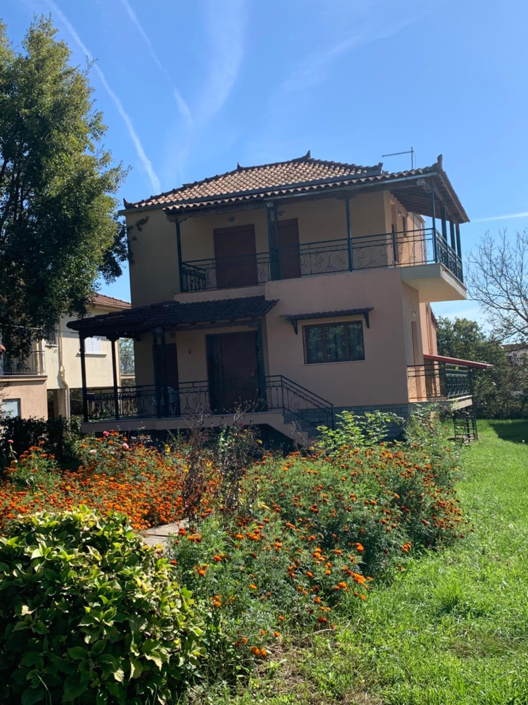 Aelias home