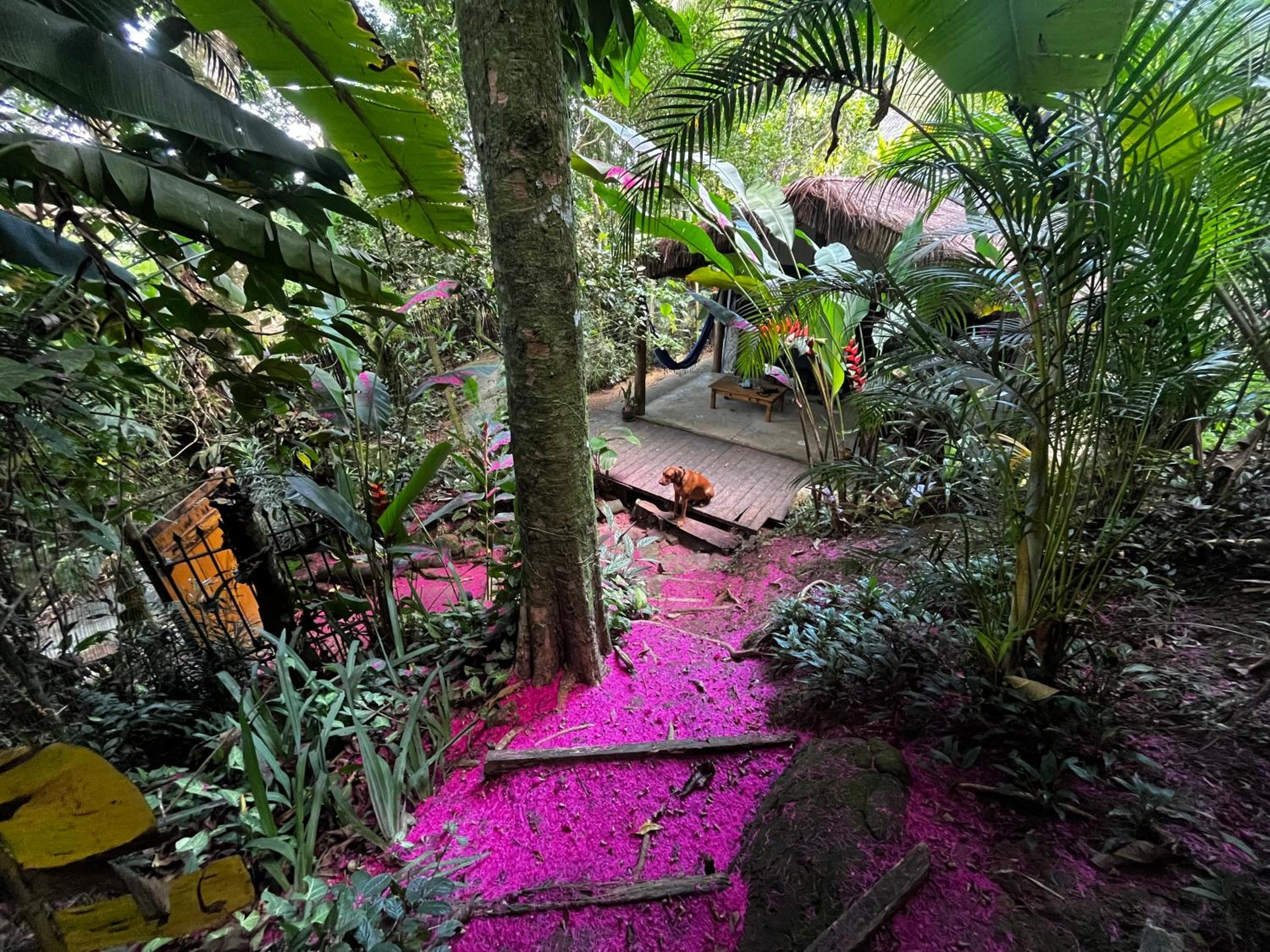 Casa Botanique Jungle Loft Ilha Grande