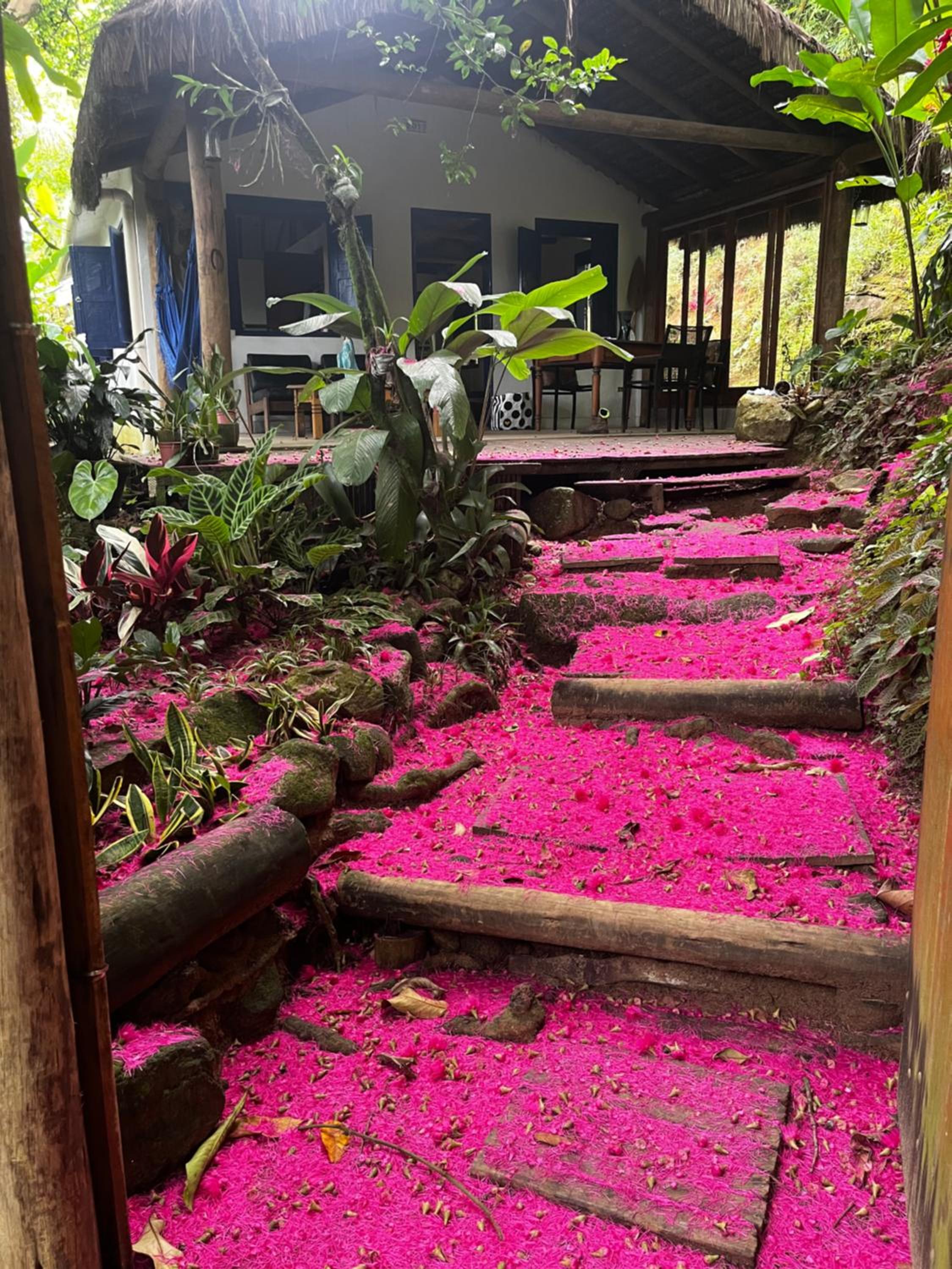 Casa Botanique Jungle Loft Ilha Grande