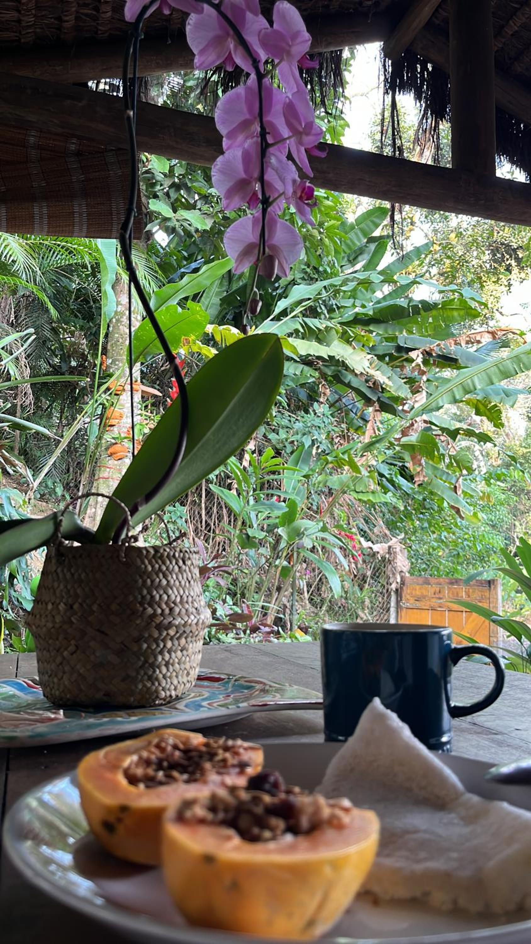 Casa Botanique Jungle Loft Ilha Grande