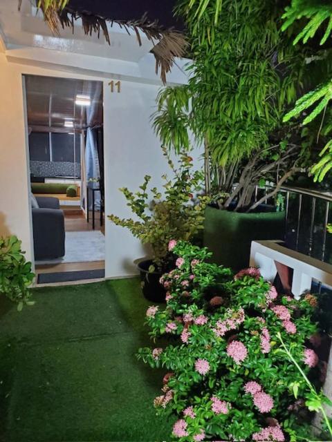 Rooftop inn view 5