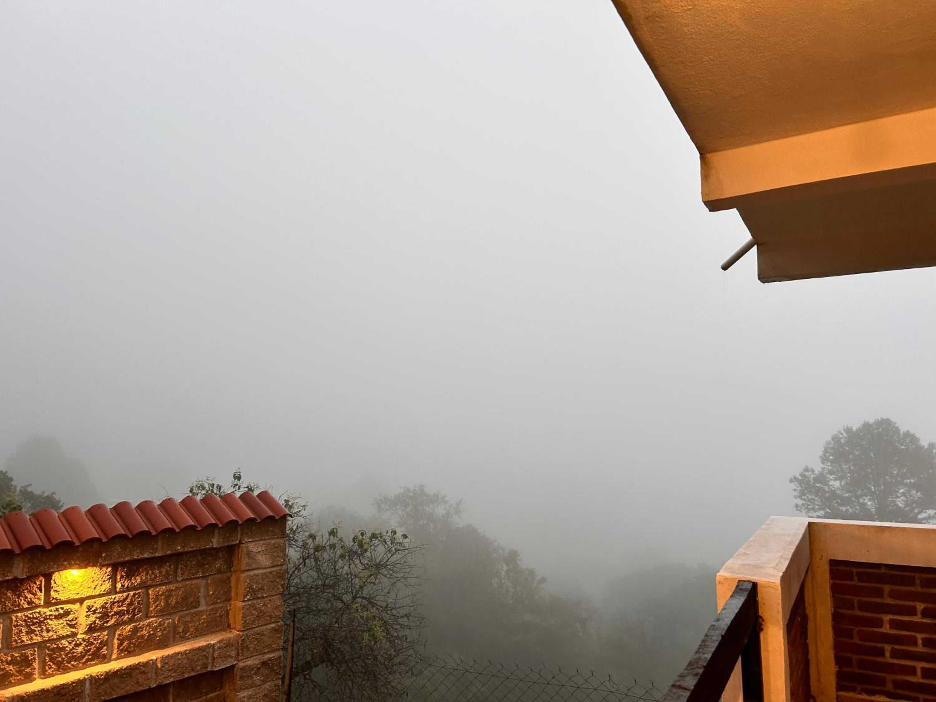 Hospedaje Vista San Carlos view 2