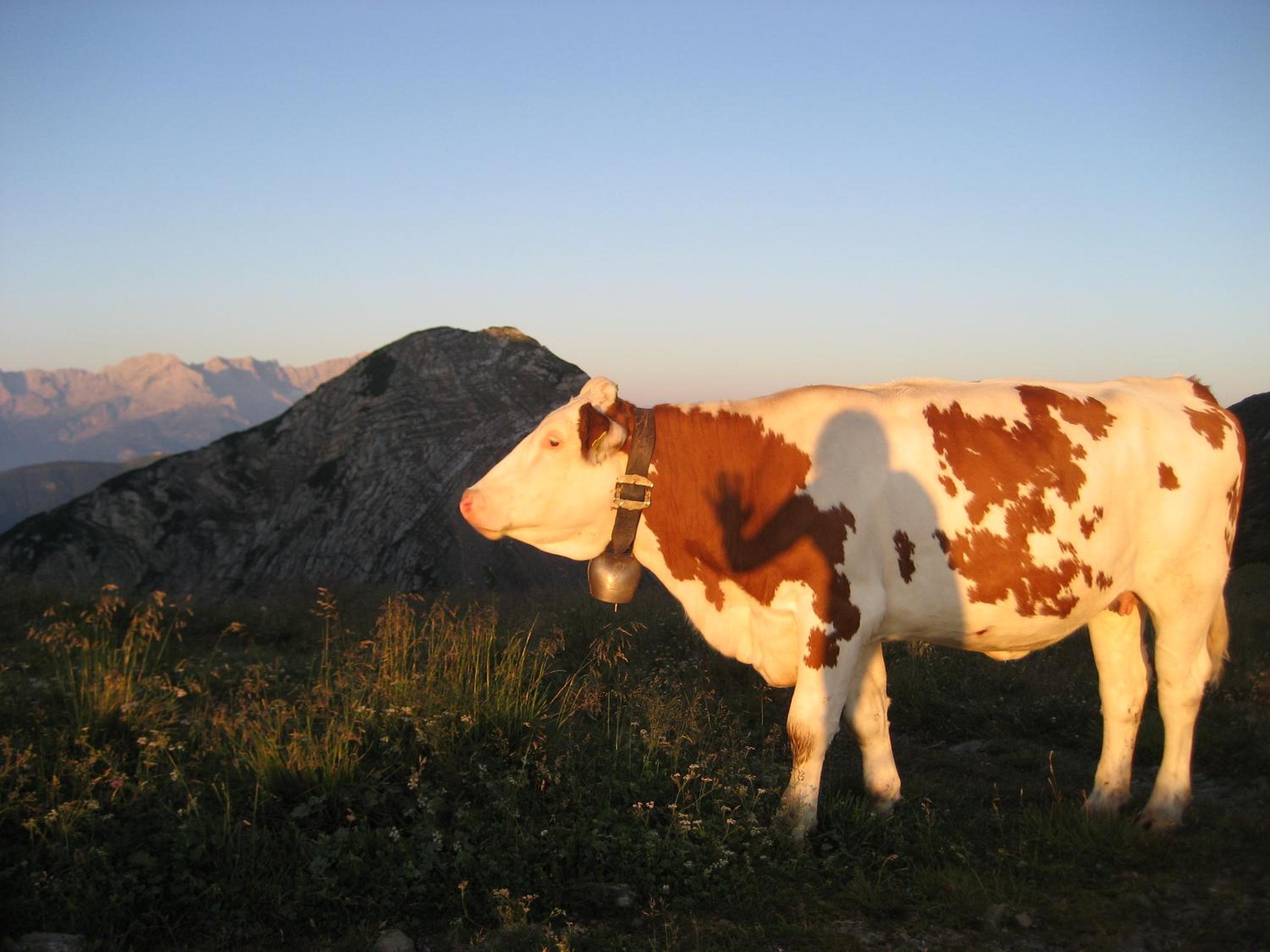 Photo 21