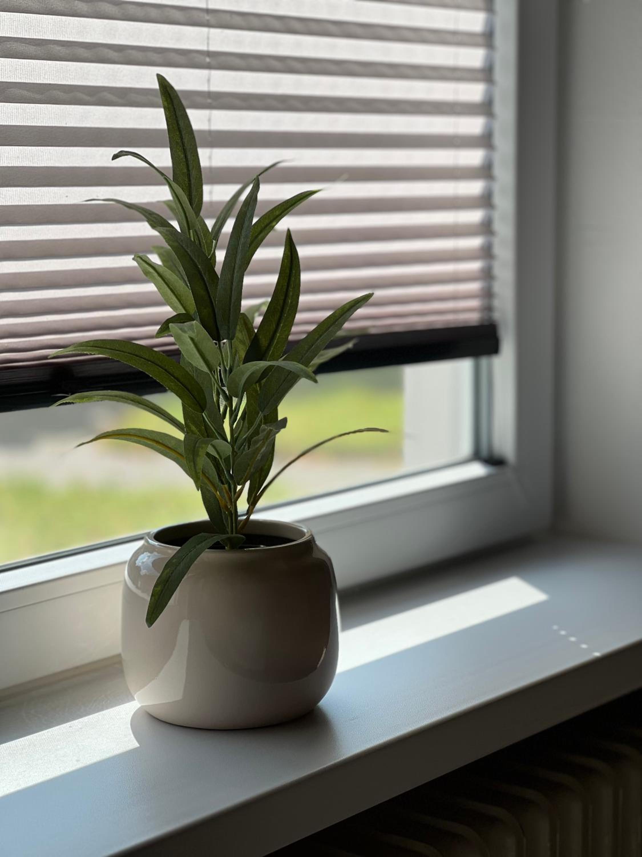 Ferienwohnung Mija II