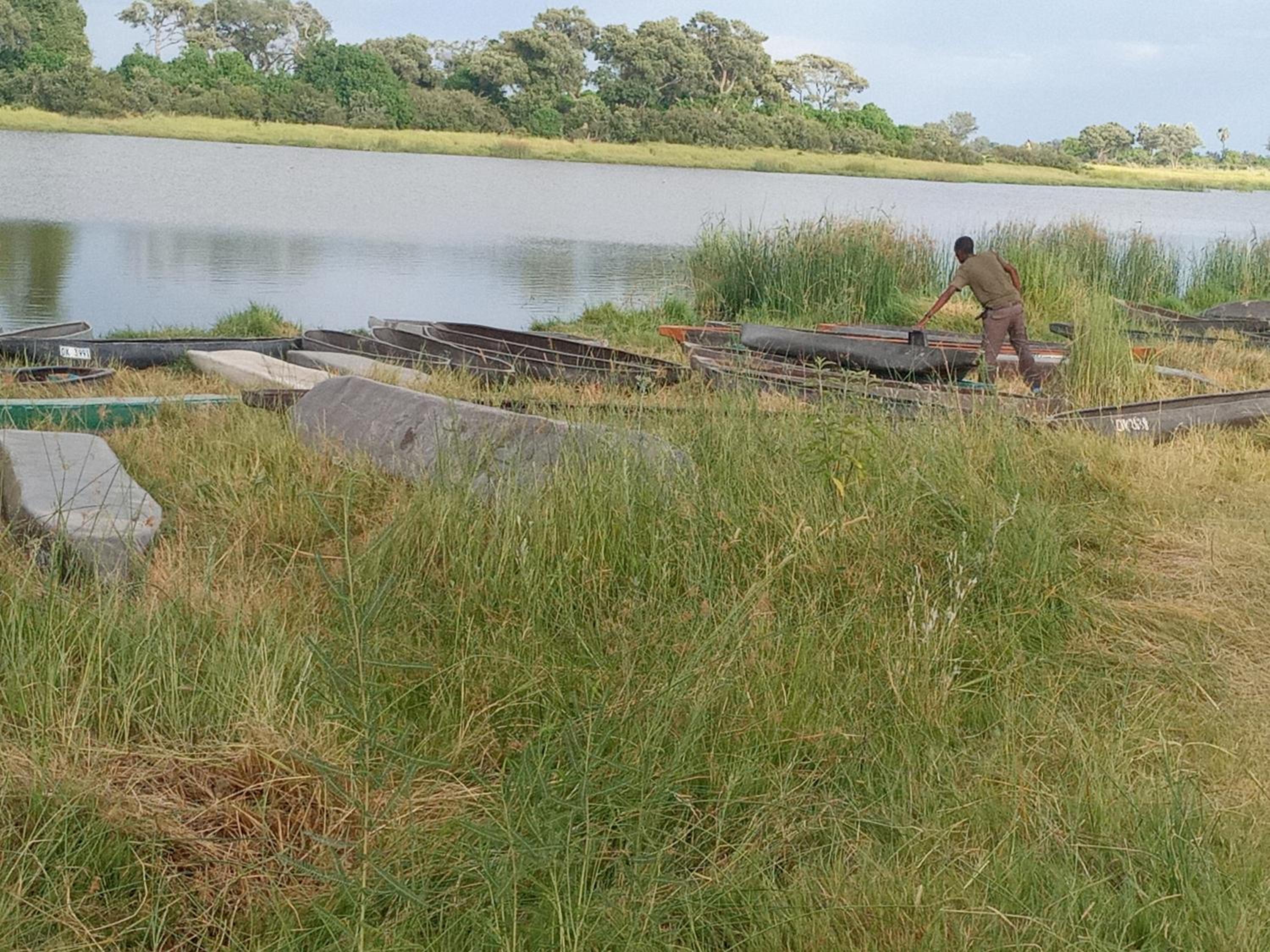 Immage of Africa Safari Tour