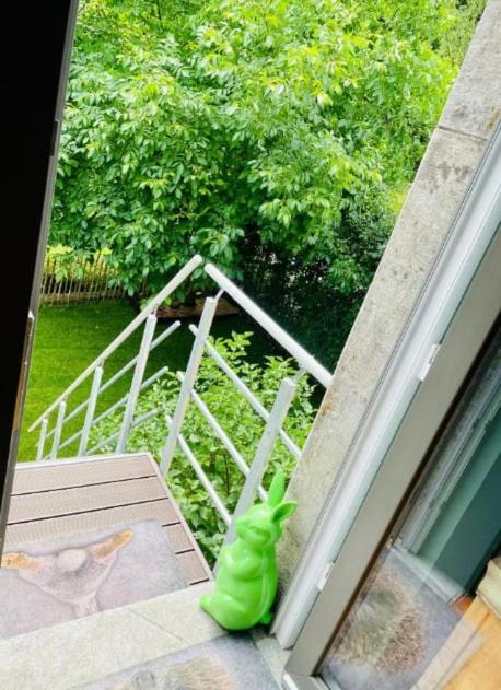 le lapin vert