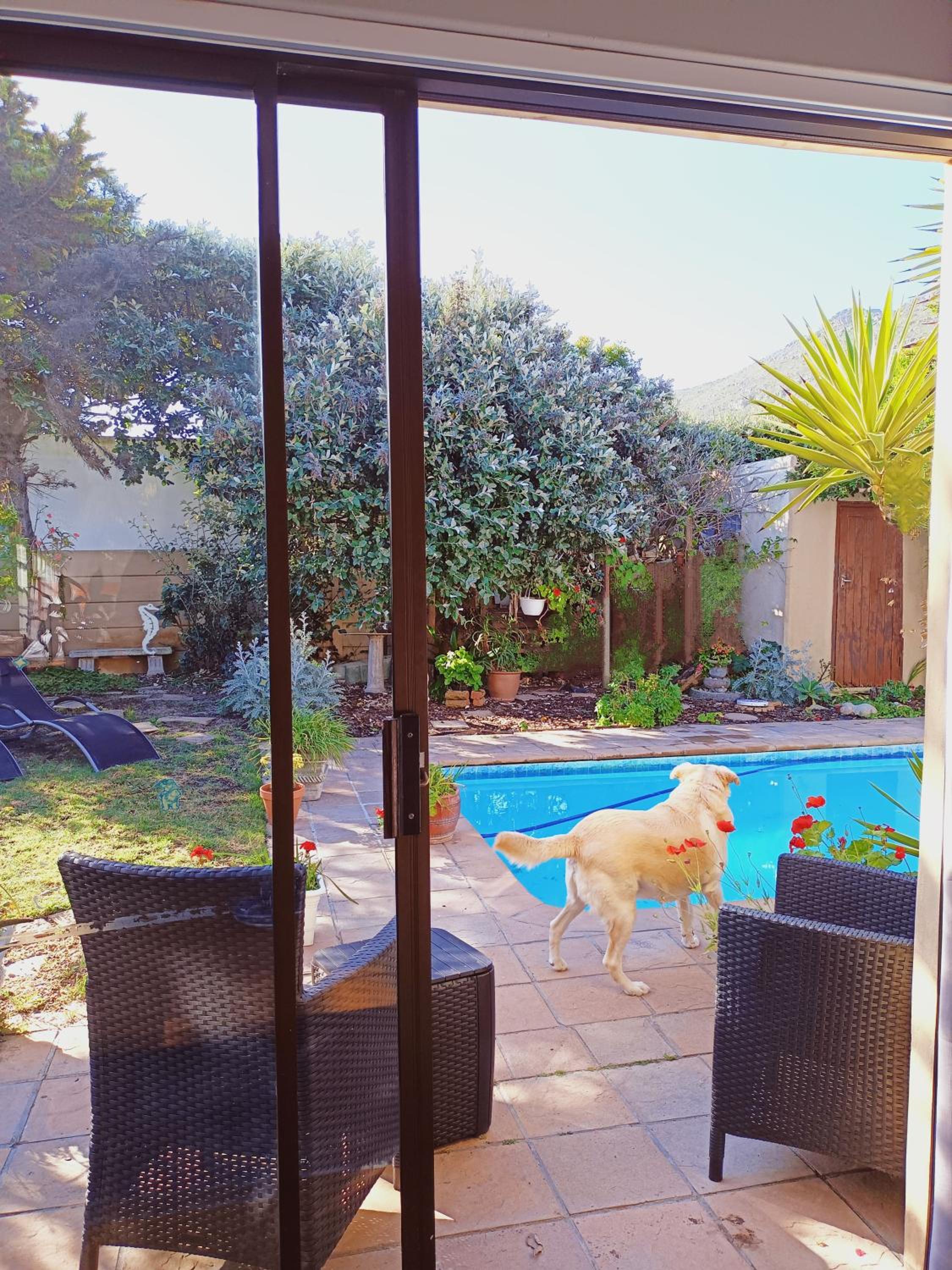Lavender Cottage view 2