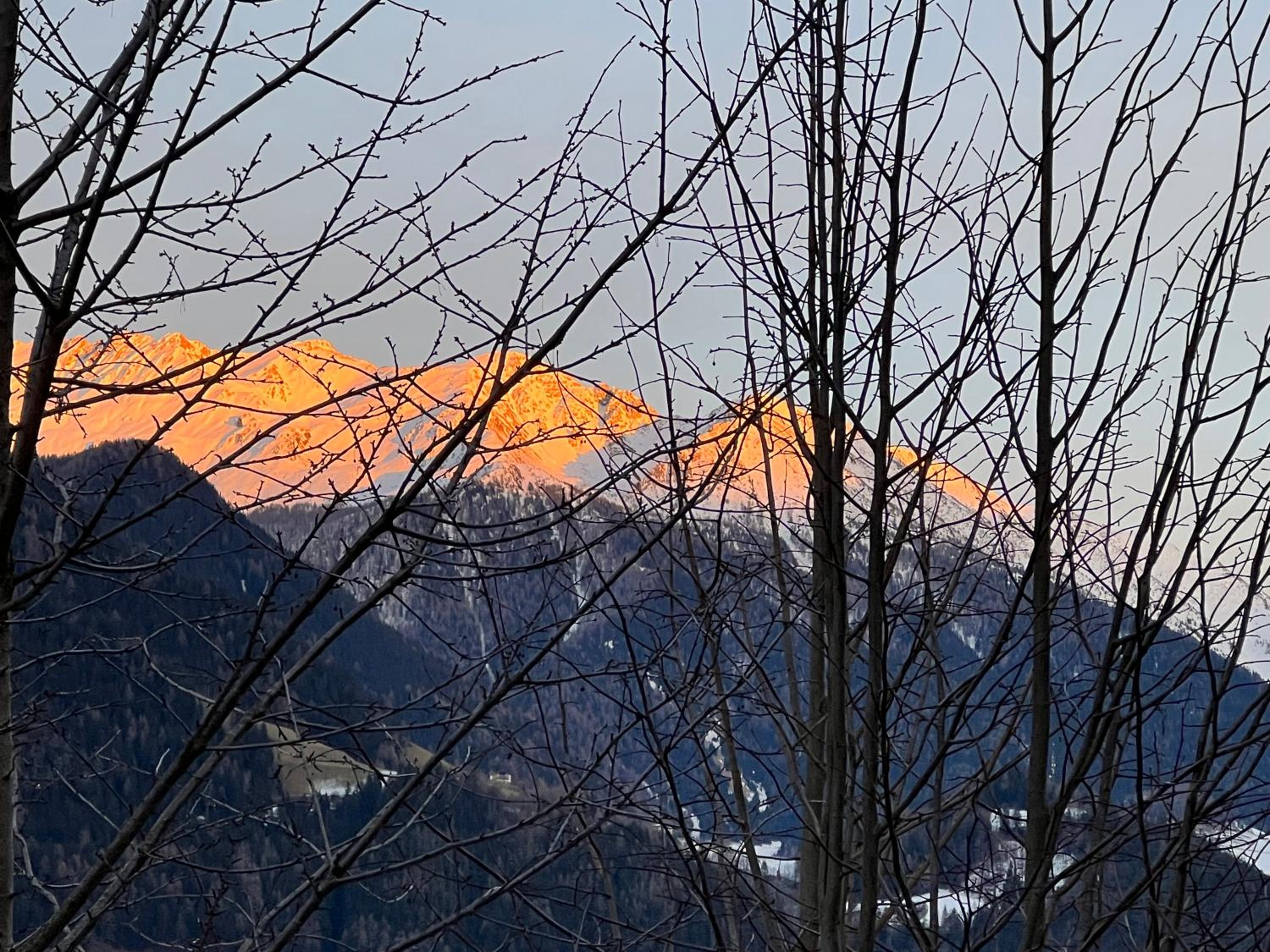 Relaxing Forest Mountain vibe room view 2