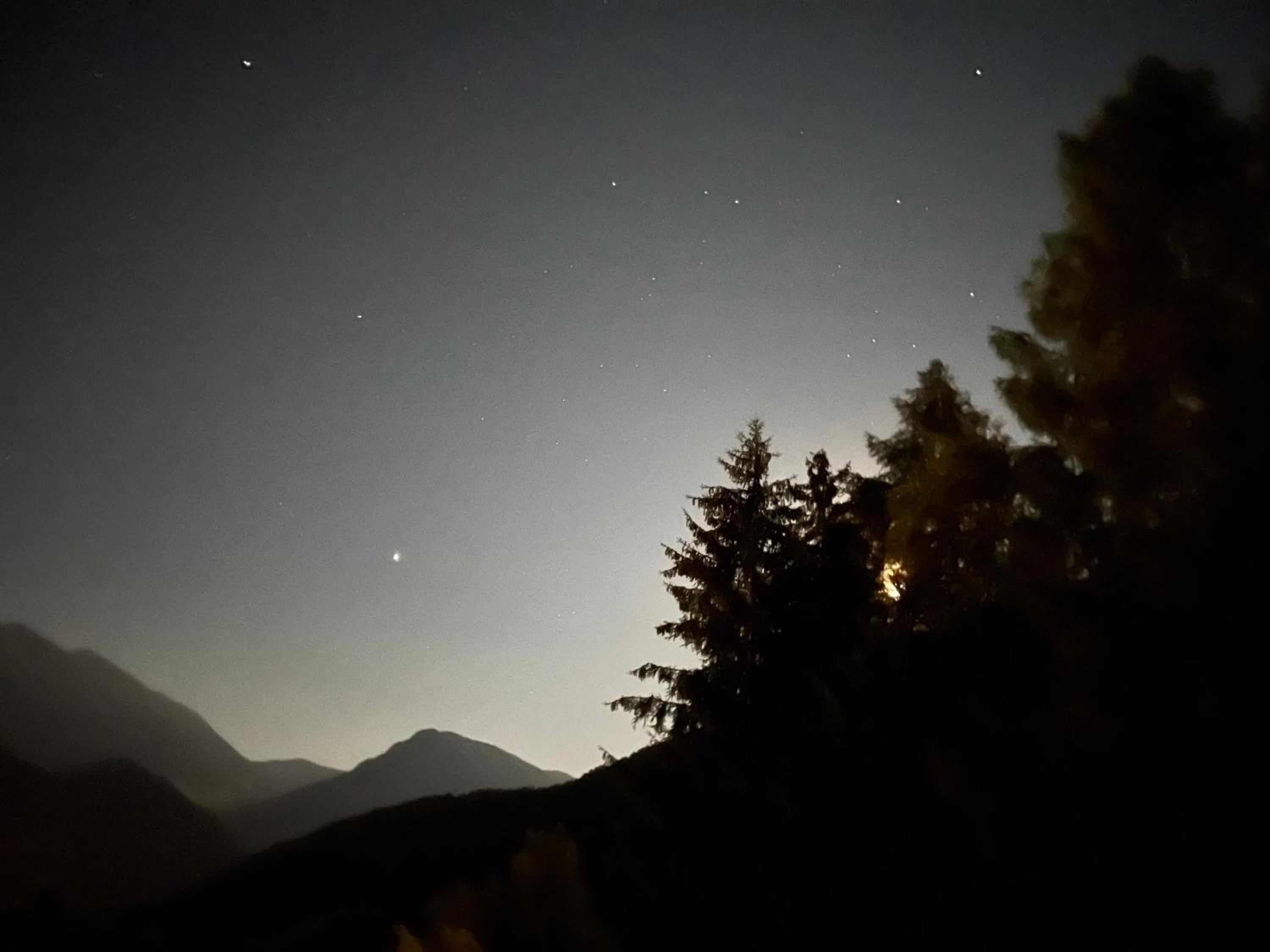 Relaxing Forest Mountain vibe room view 4