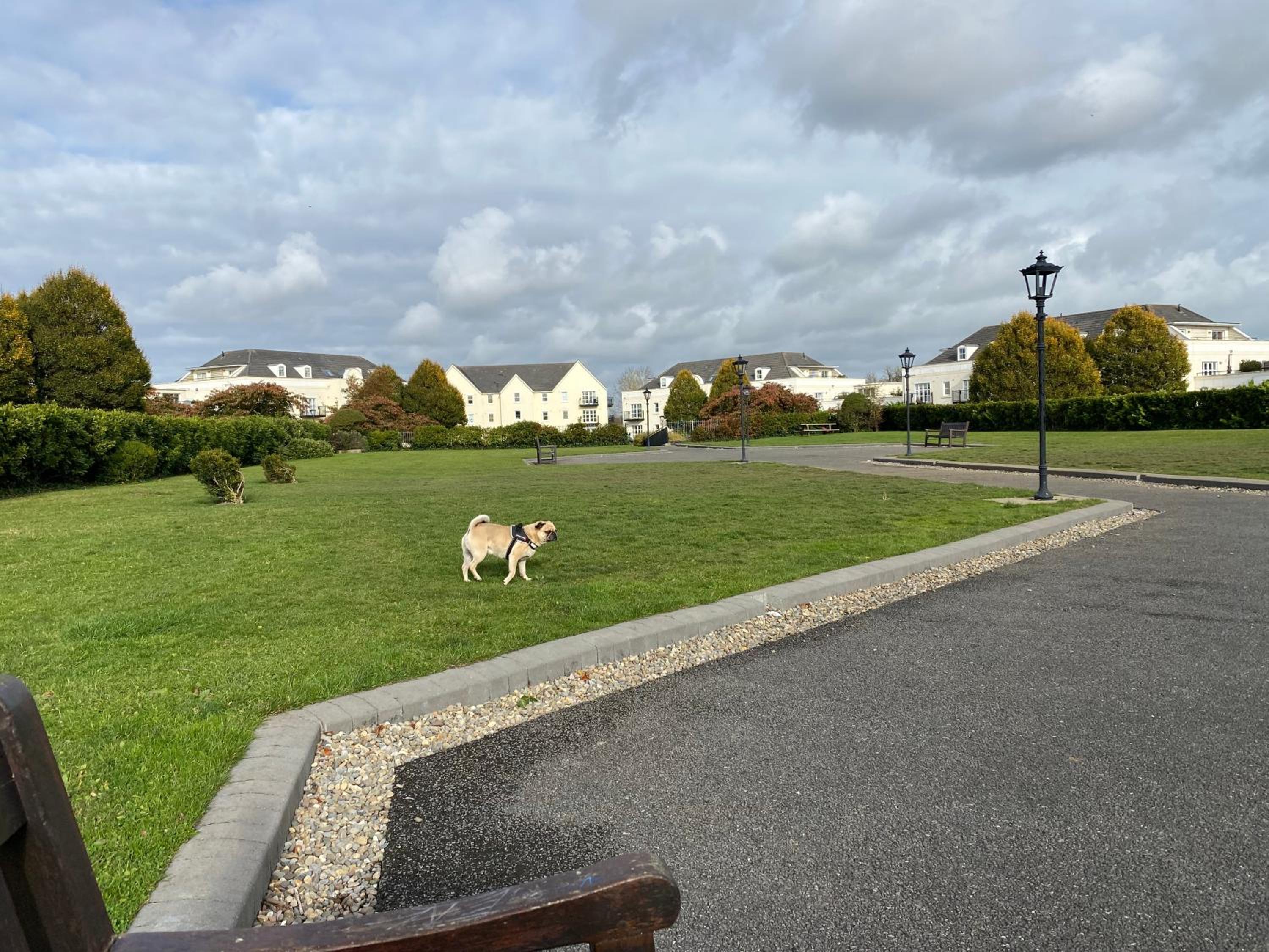 Comfy Apartment near Dublin Airport with FREE PARKING