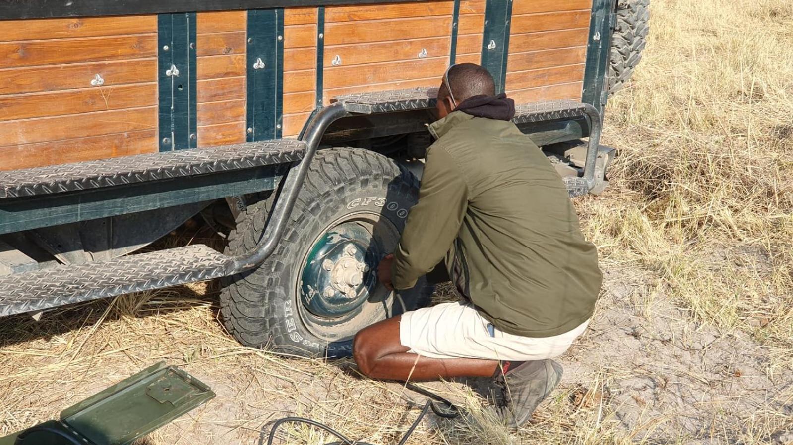 Immage of Africa Safari Tour