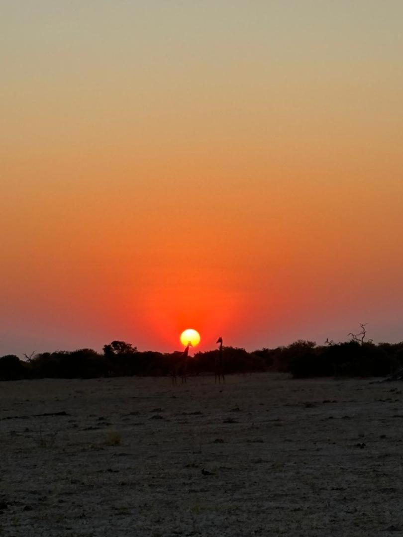 Immage of Africa Safari Tour