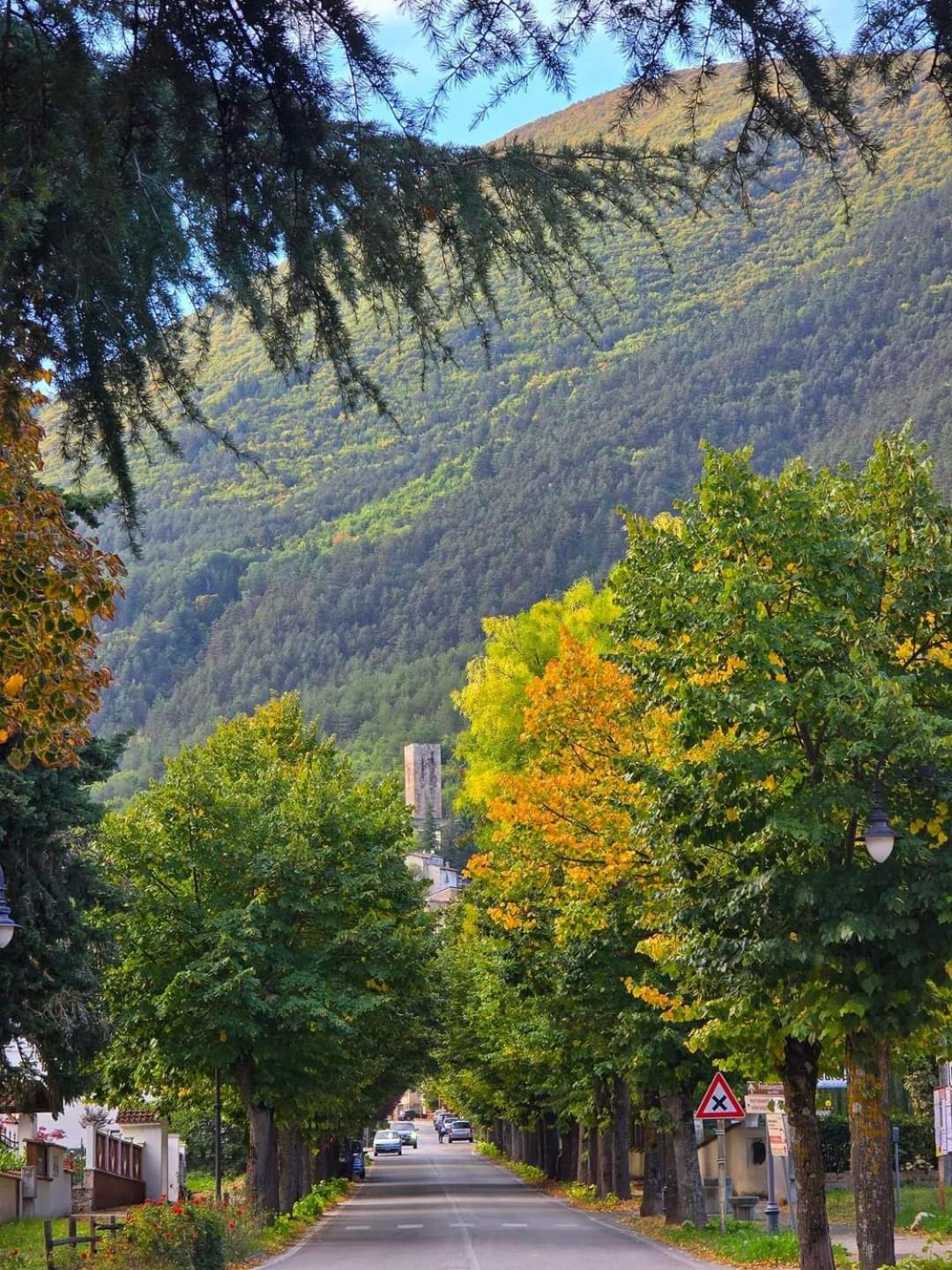 La villetta di Capolaia photo 5