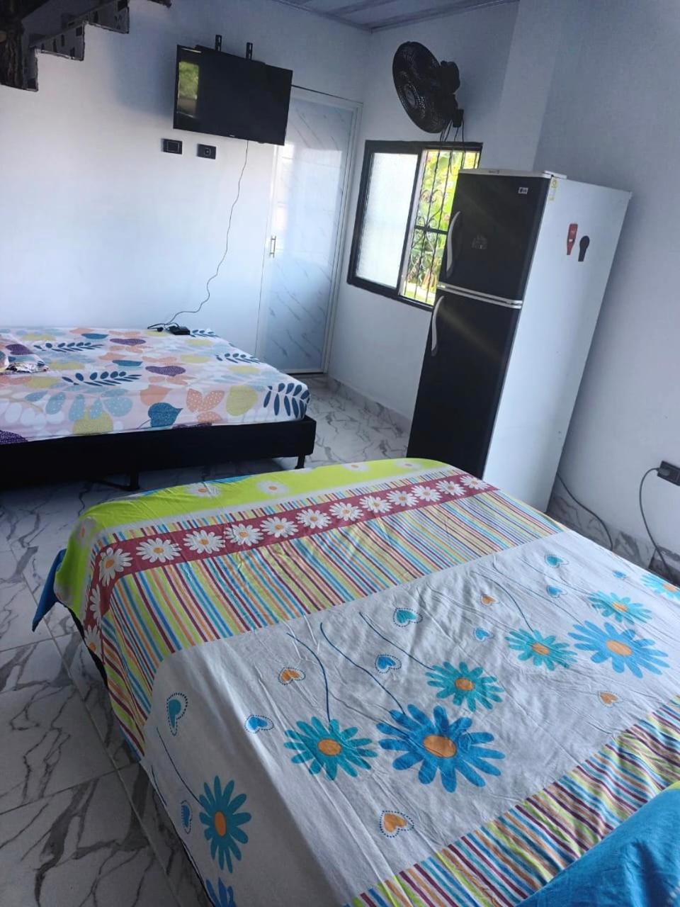 Apartamento - Casa del árbol