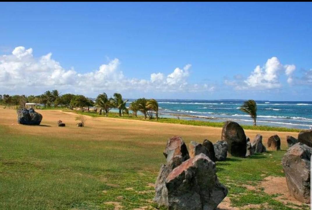 studio tropical vue mer view 3
