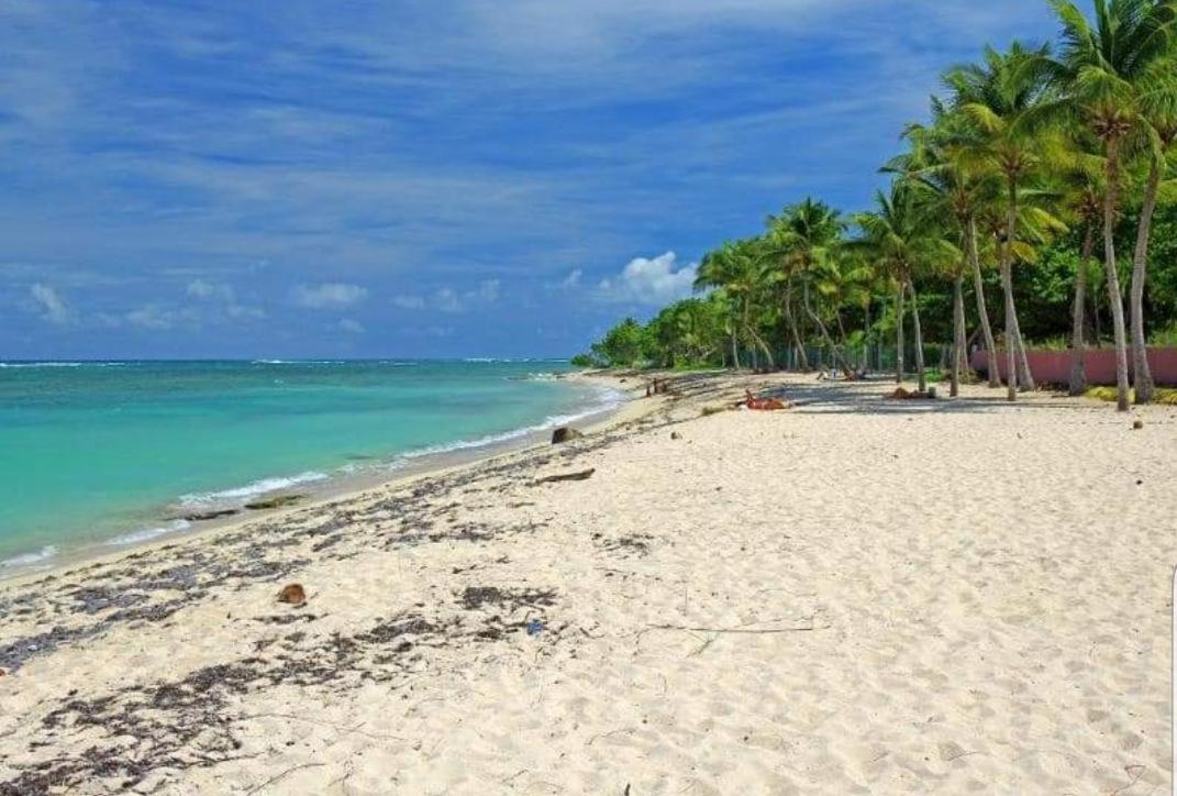 studio tropical vue mer view 4