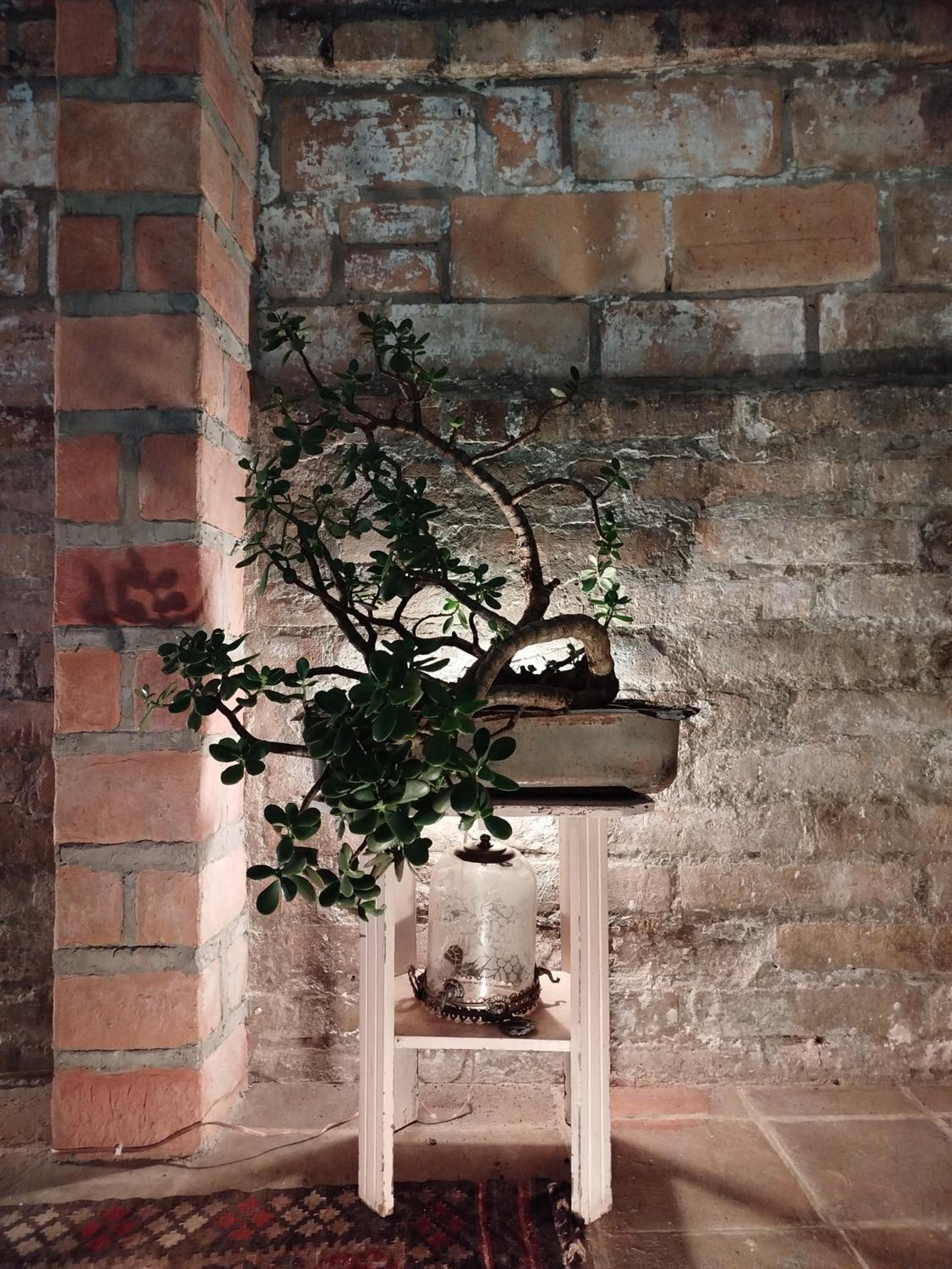 Patio Chic
