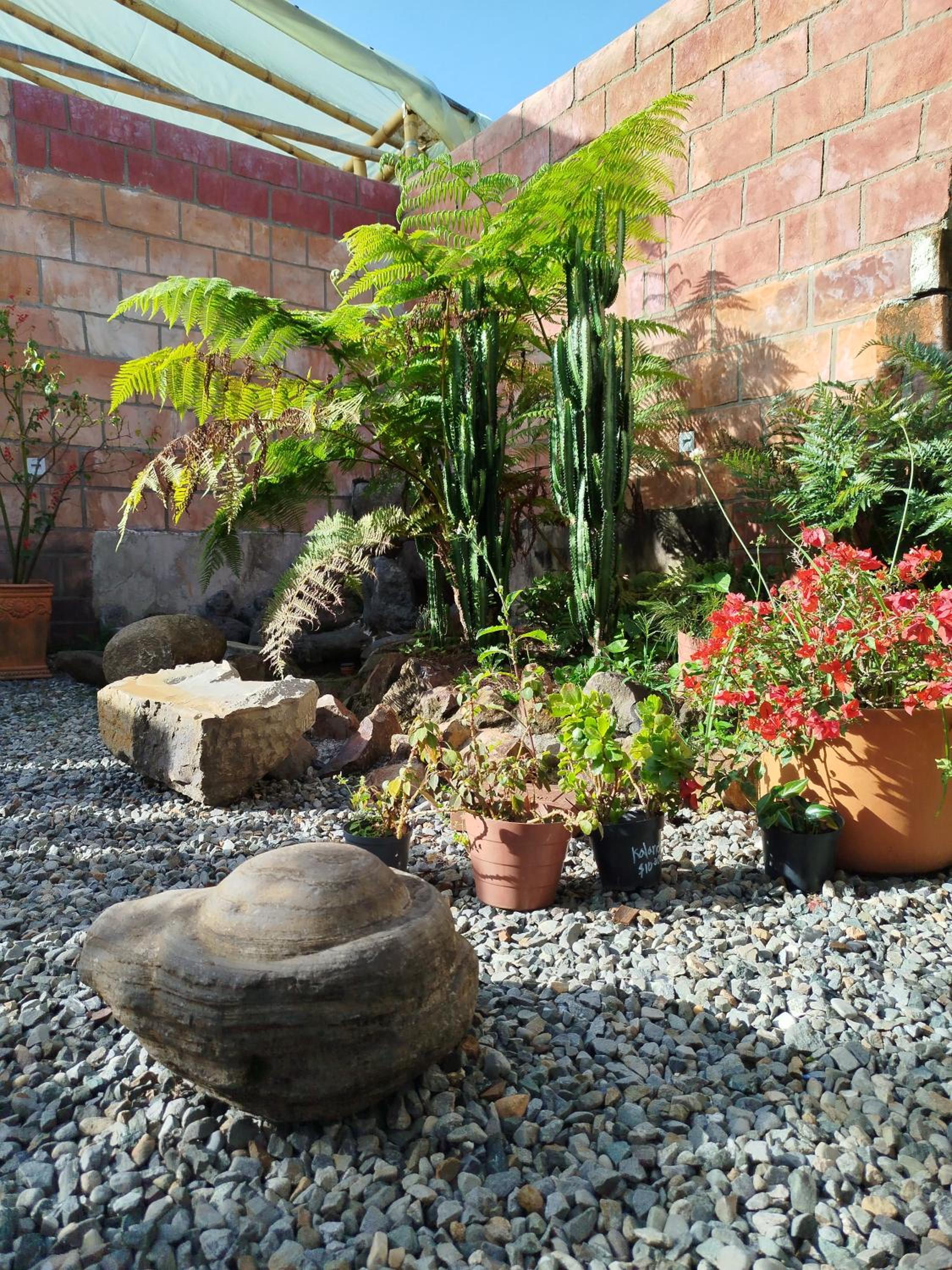 Patio Chic