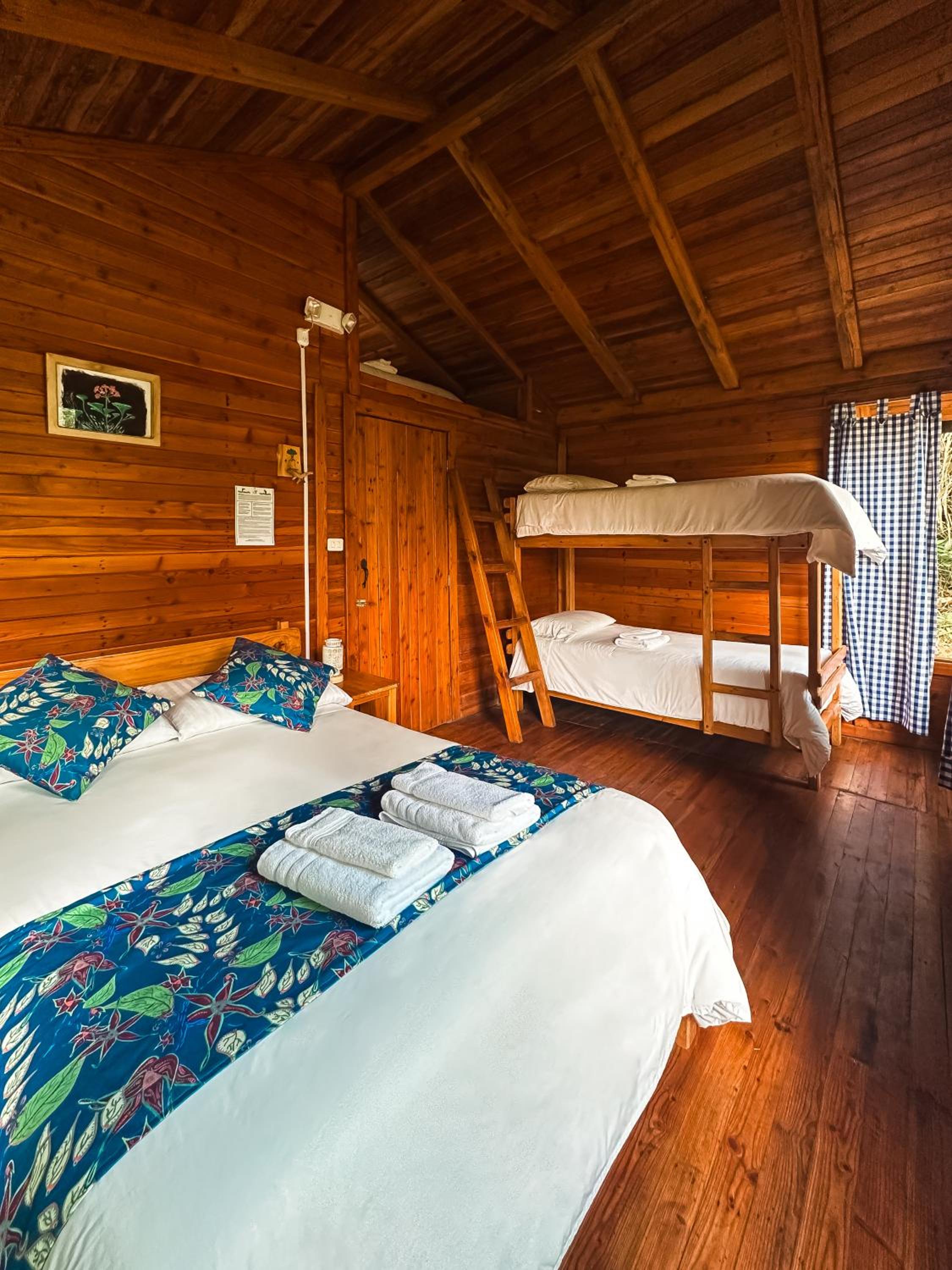 Hotel El Abrazo del Arbol - Image 1