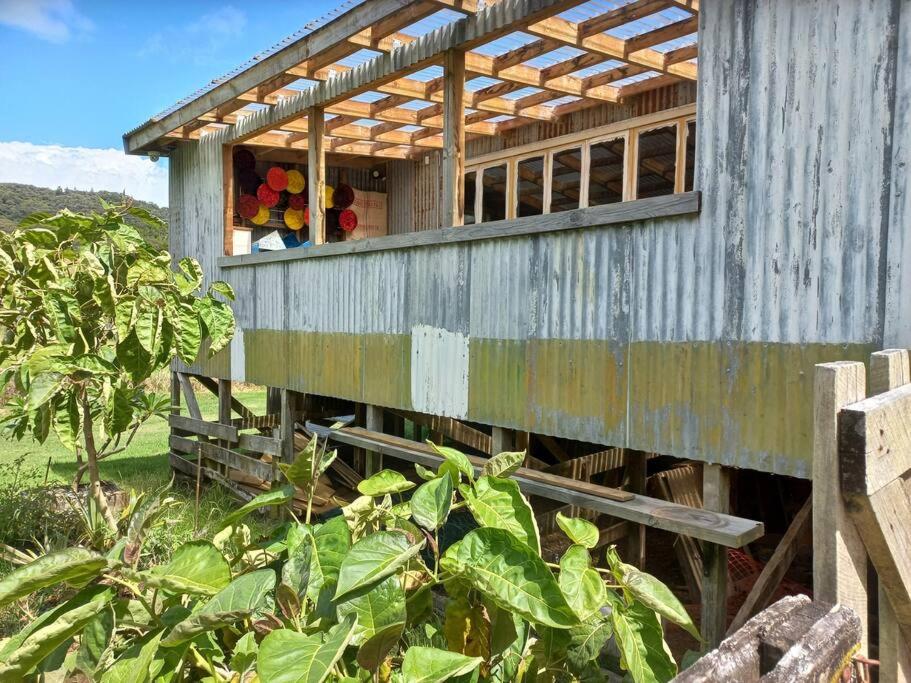 The Woolshed, Papa Aroha, Coromandel view 4