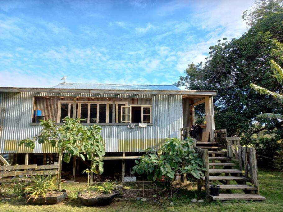 The Woolshed, Papa Aroha, Coromandel view 5