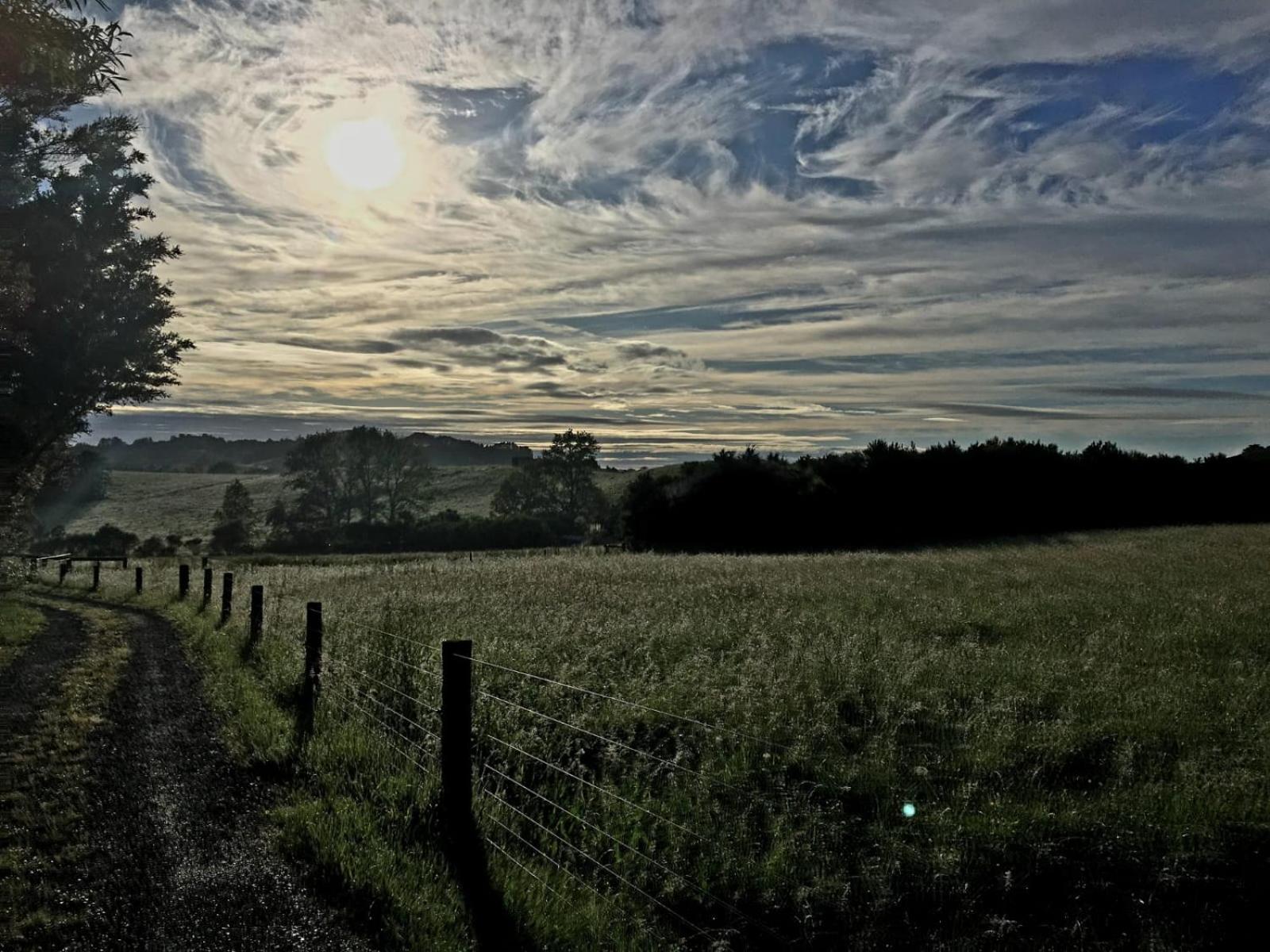 Kotare Studio view 2