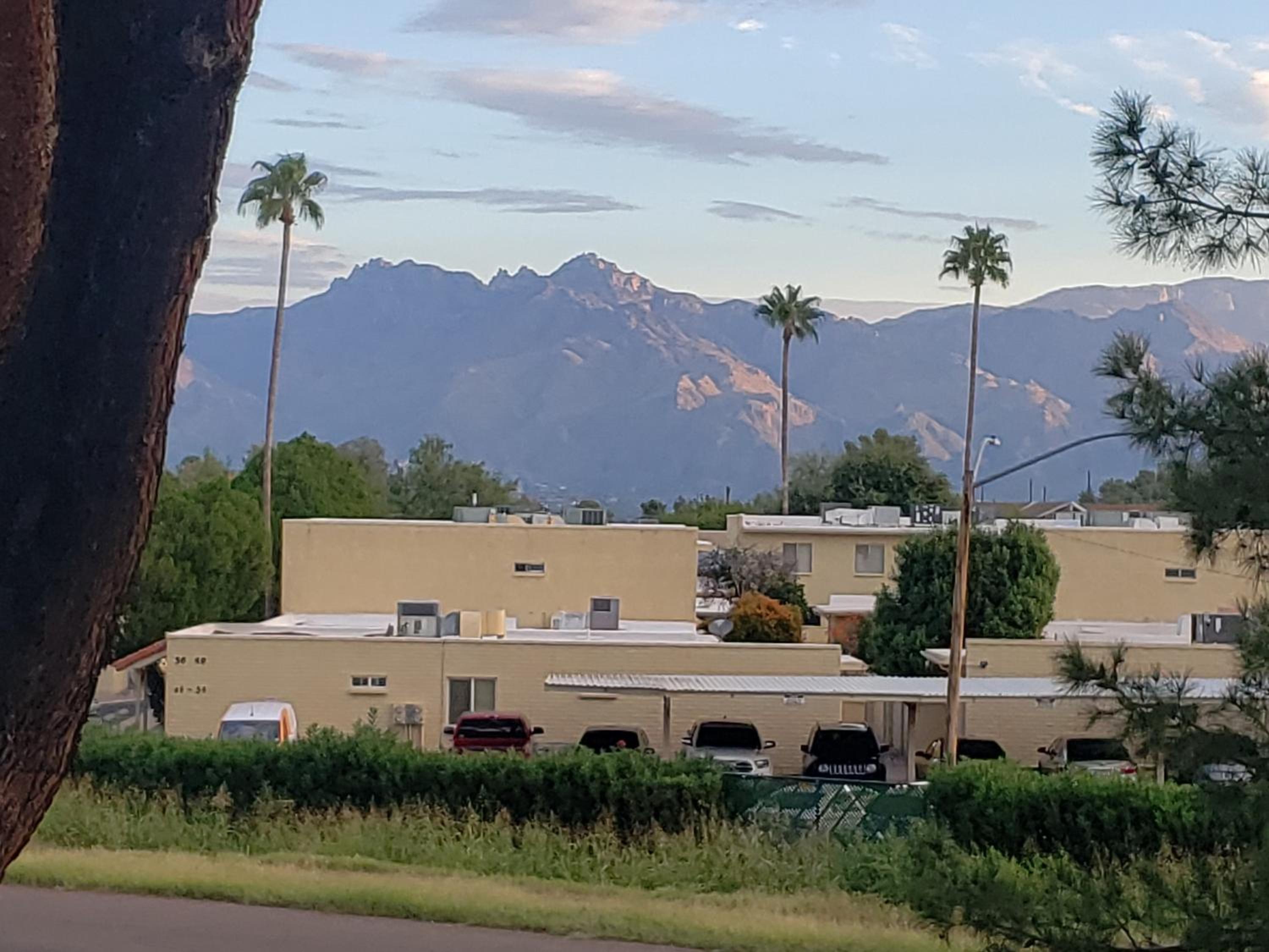 Mountain View Condo with Pool view 4