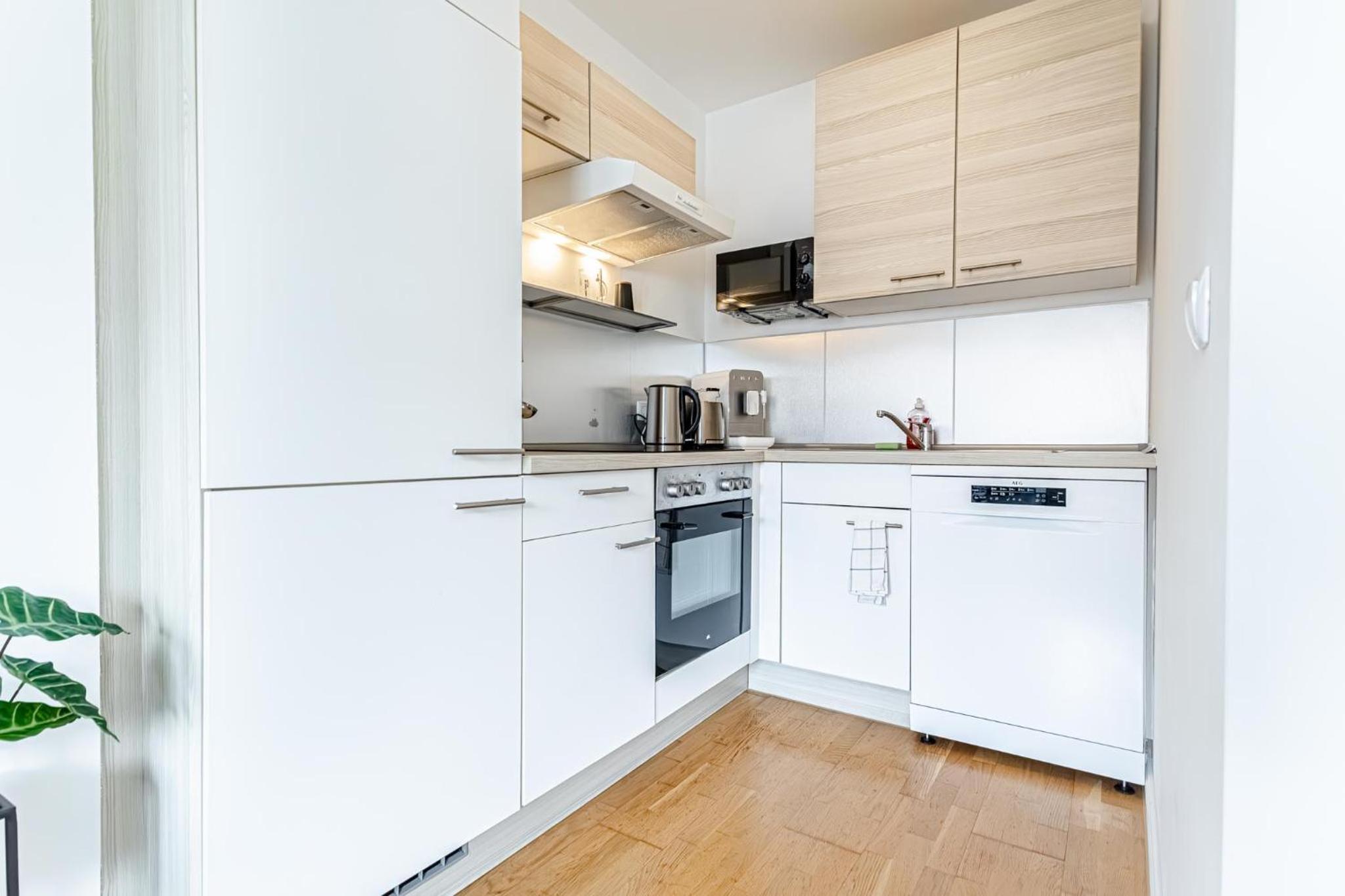 Central Vienna Chic & Comfortable 1BR & 1LR Apt