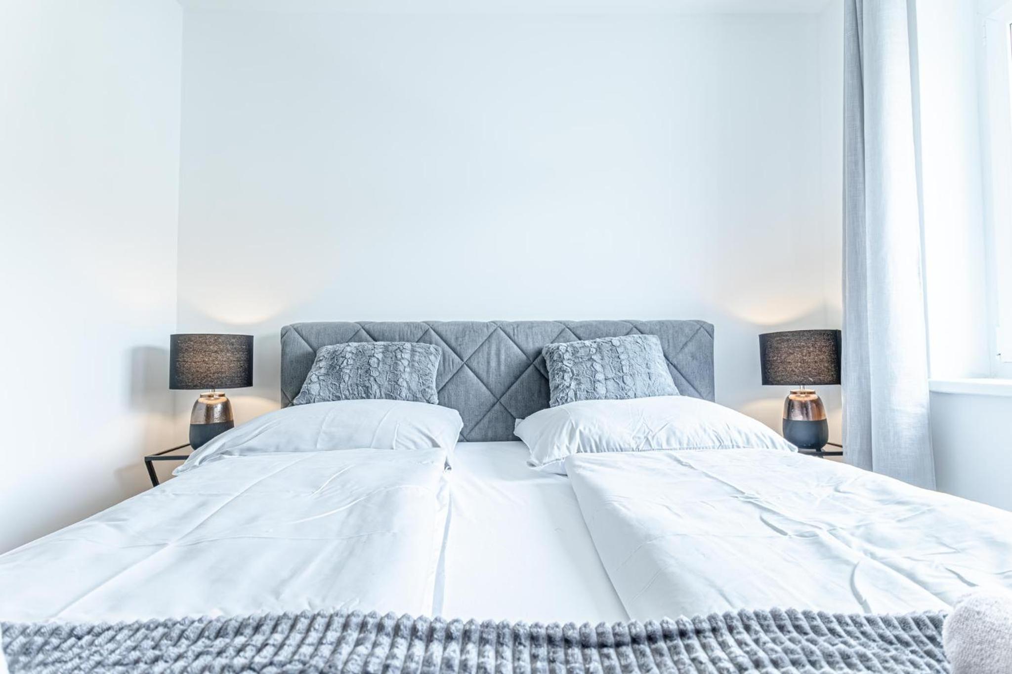 Central Vienna Chic & Comfortable 1BR & 1LR Apt