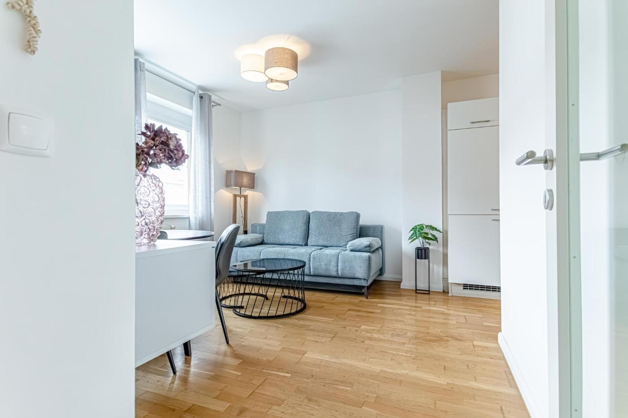 Central Vienna Chic & Comfortable 1BR & 1LR Apt