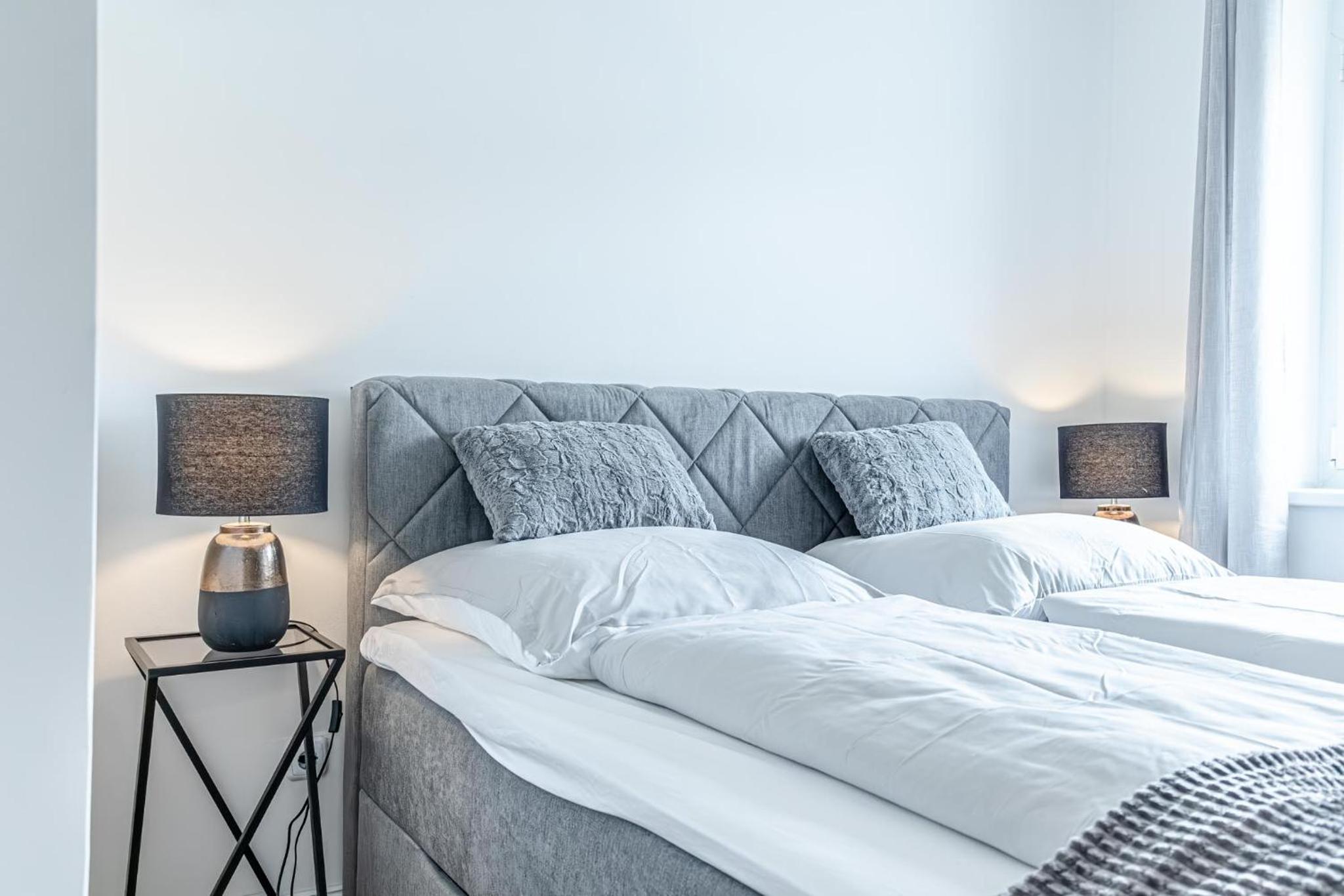 Central Vienna Chic & Comfortable 1BR & 1LR Apt