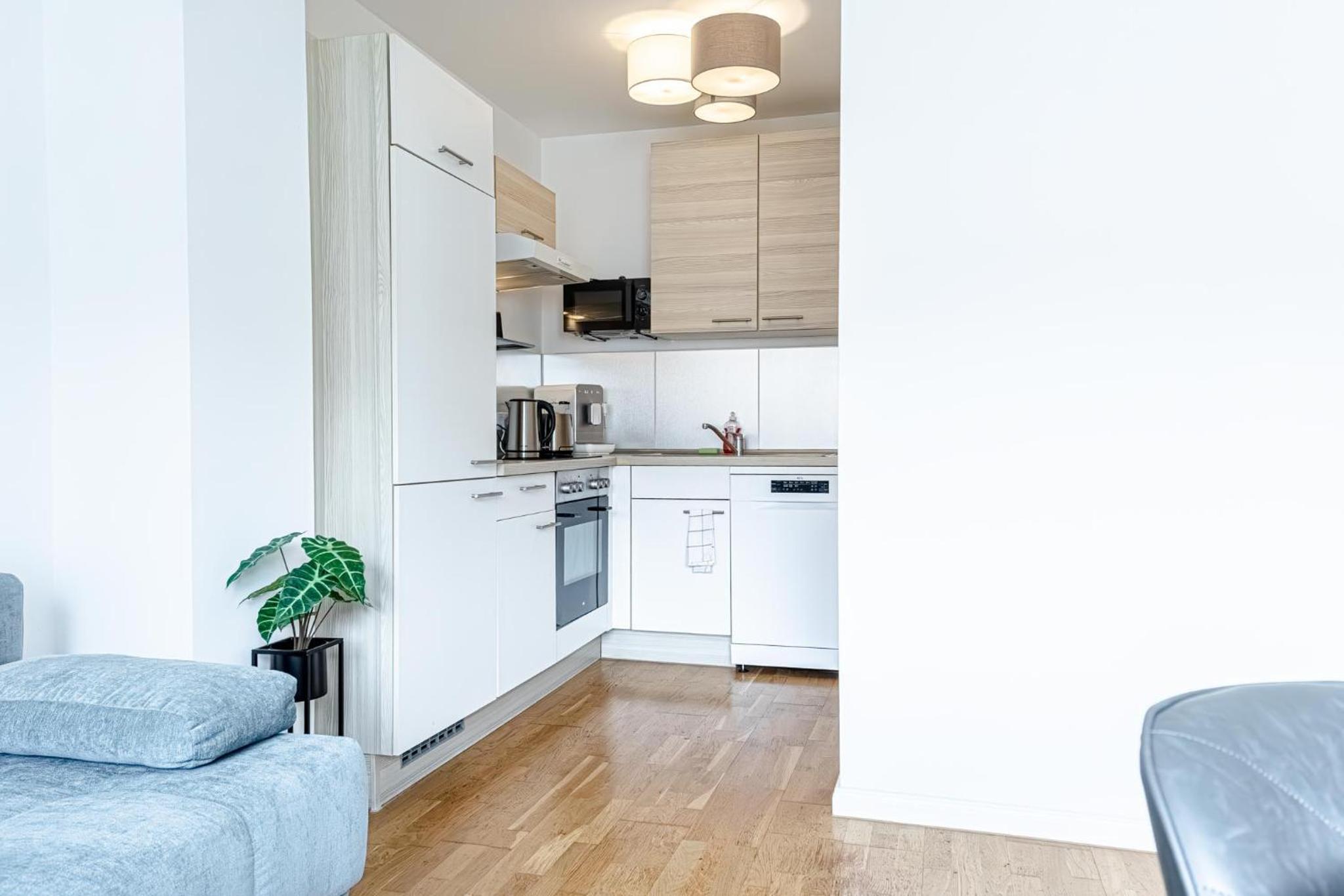 Central Vienna Chic & Comfortable 1BR & 1LR Apt