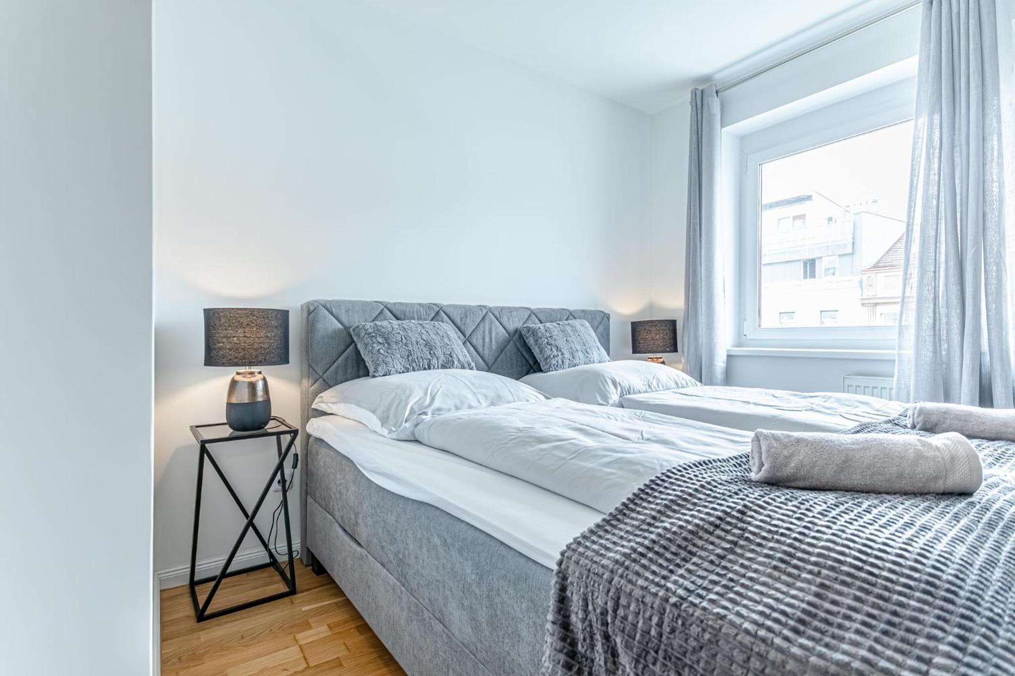 Central Vienna Chic & Comfortable 1BR & 1LR Apt