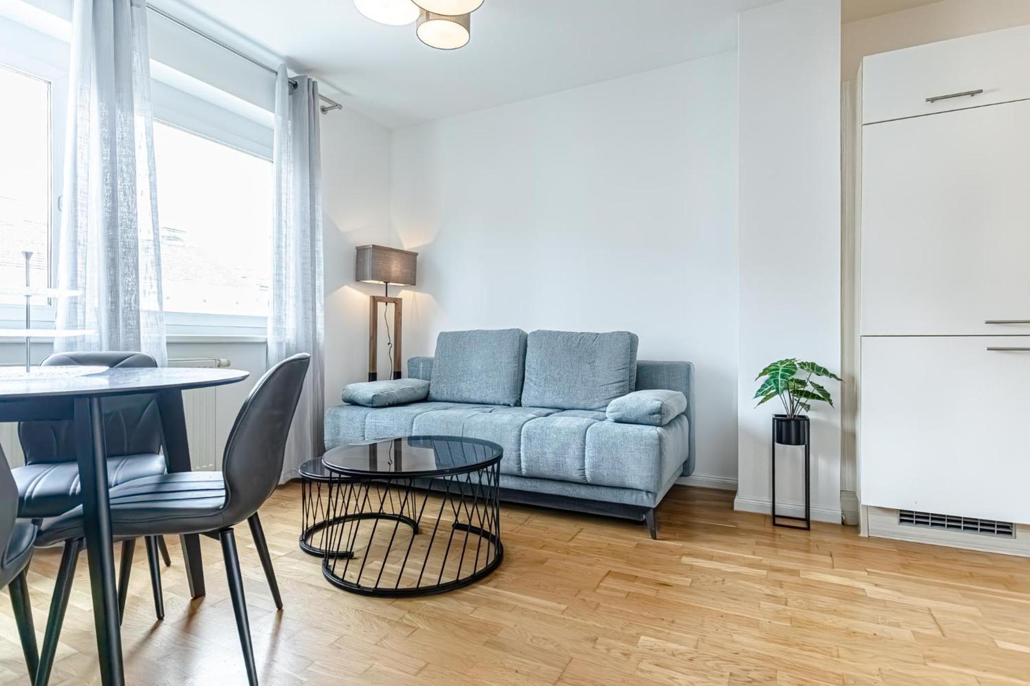 Central Vienna Chic & Comfortable 1BR & 1LR Apt