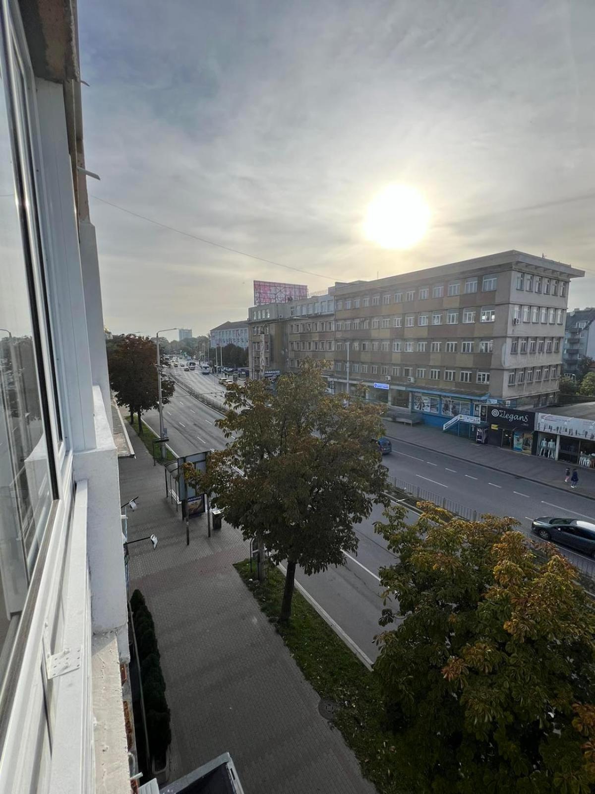 Bright & Cozy- 2BR Apartment with Private Parking