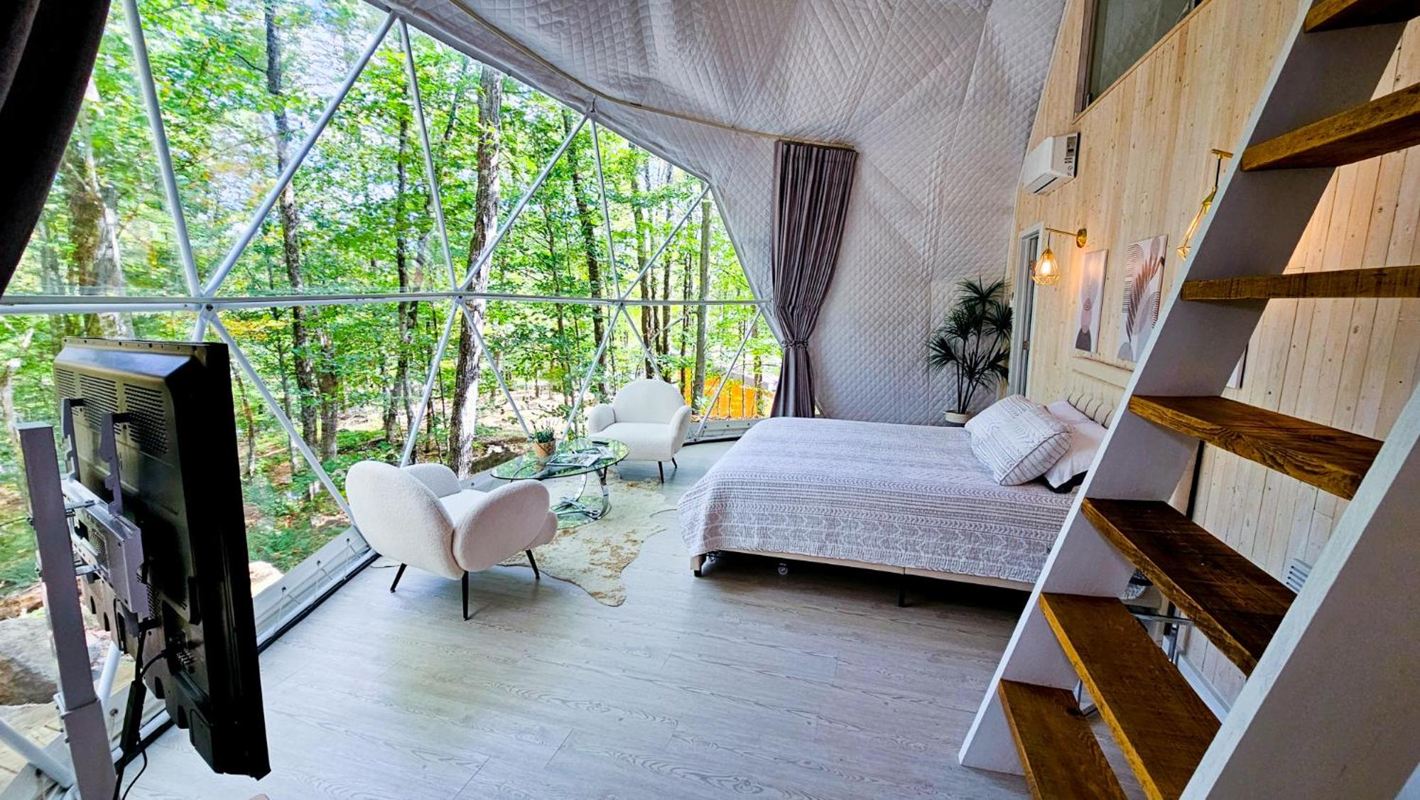 Dôme Le Scandinave