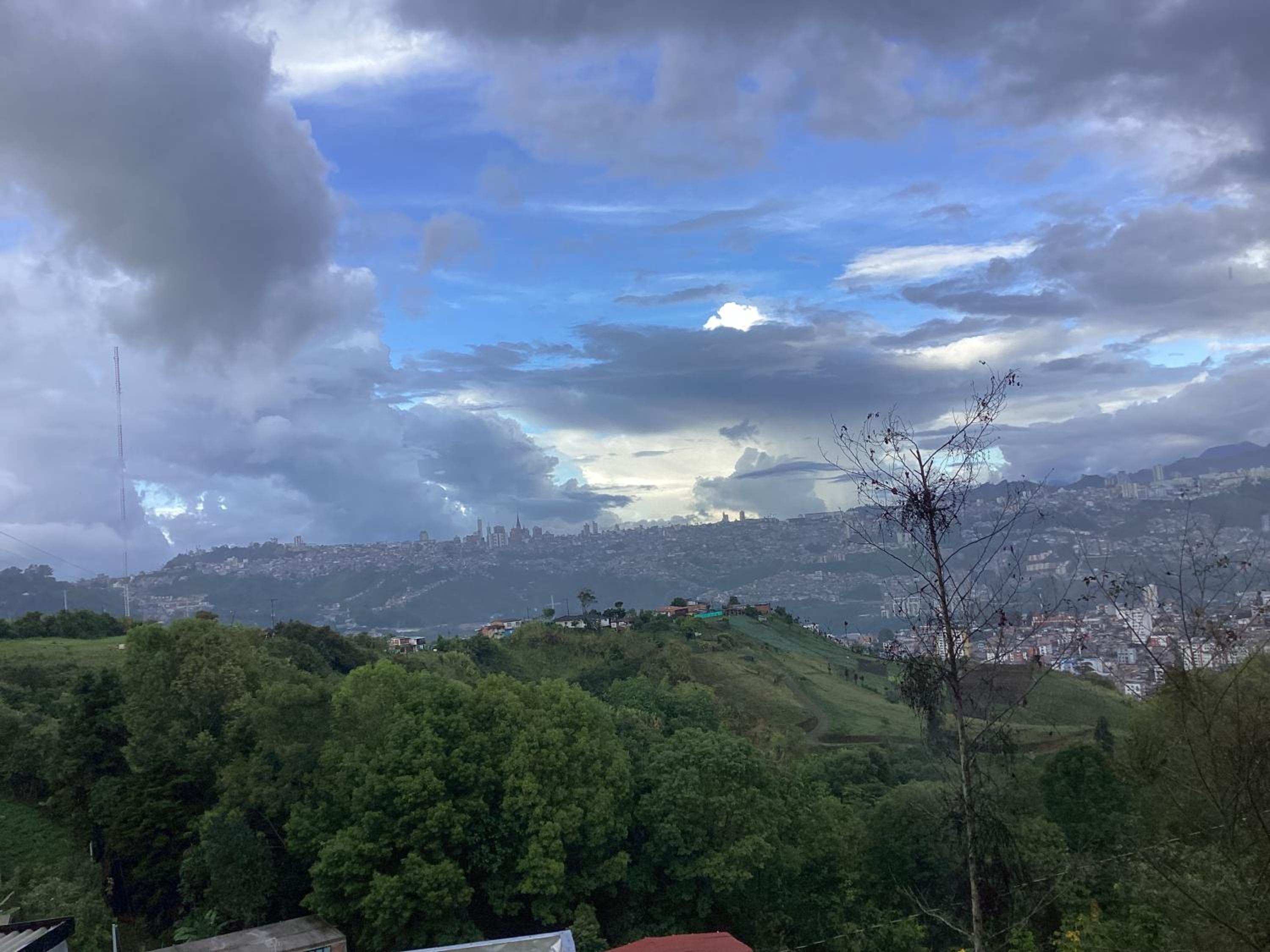 Bella vista