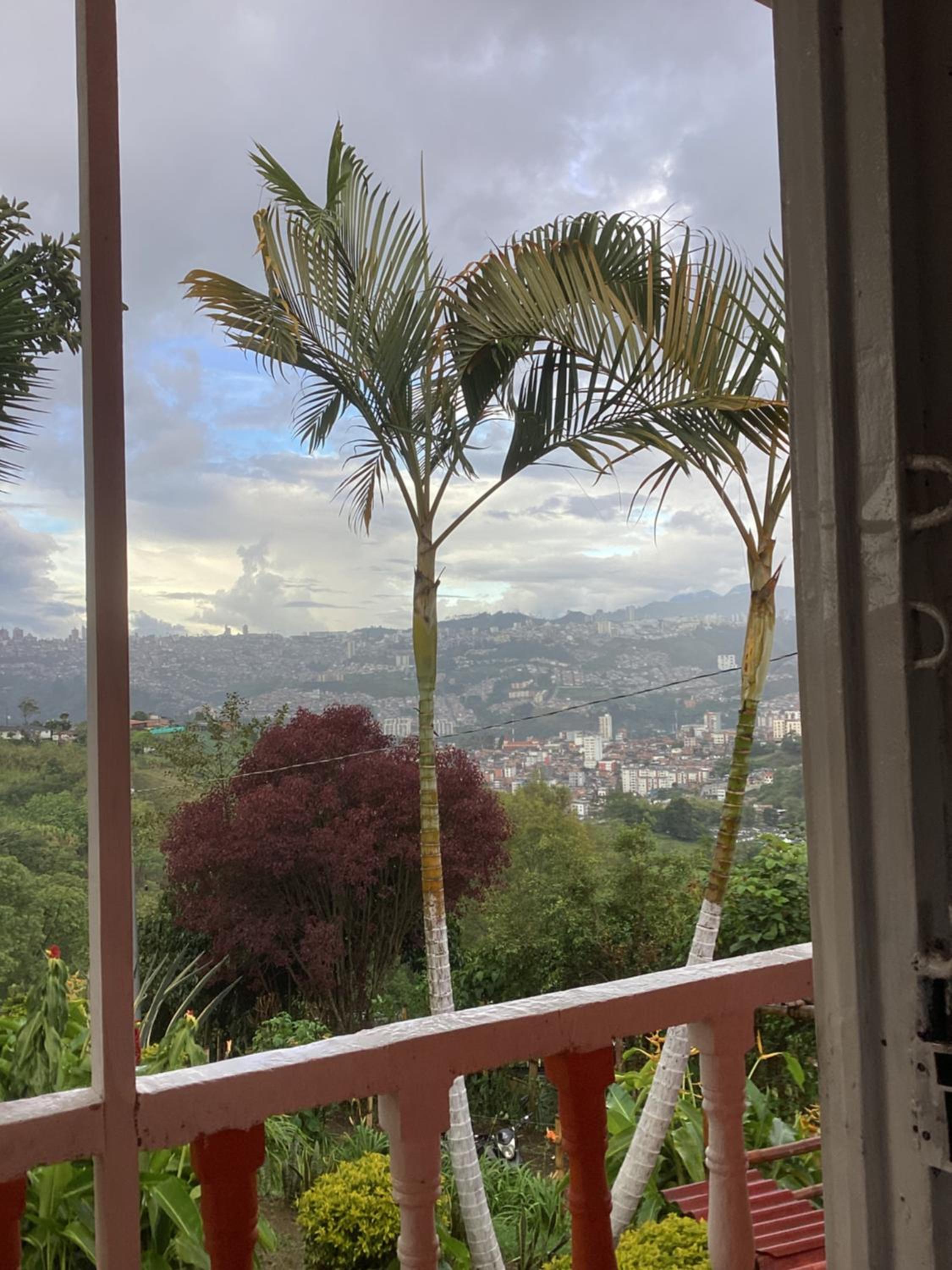 Bella vista