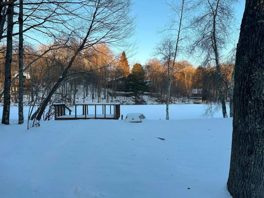 Lakefront with Lots of Light and Private Dock Access