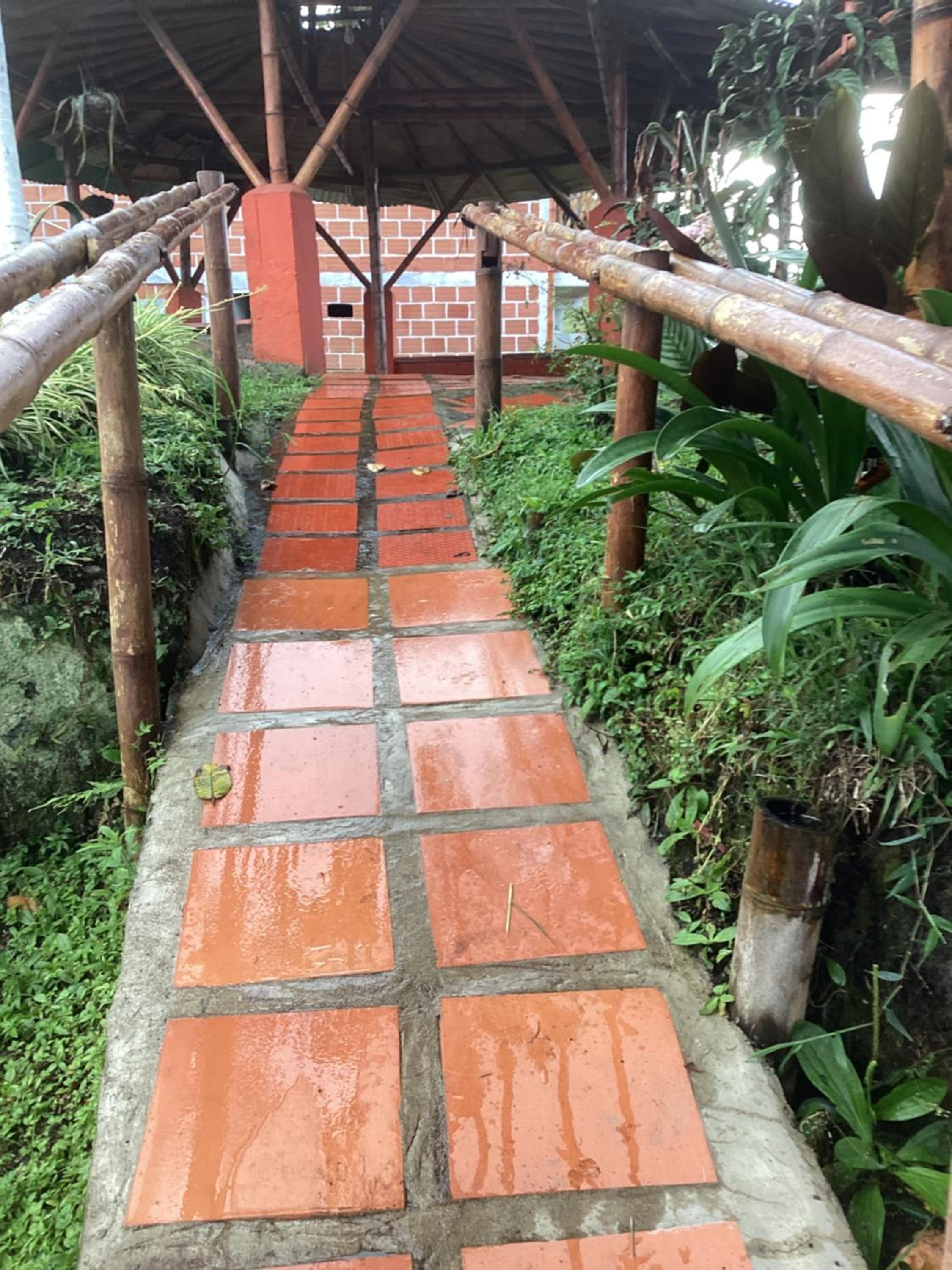 Bella vista