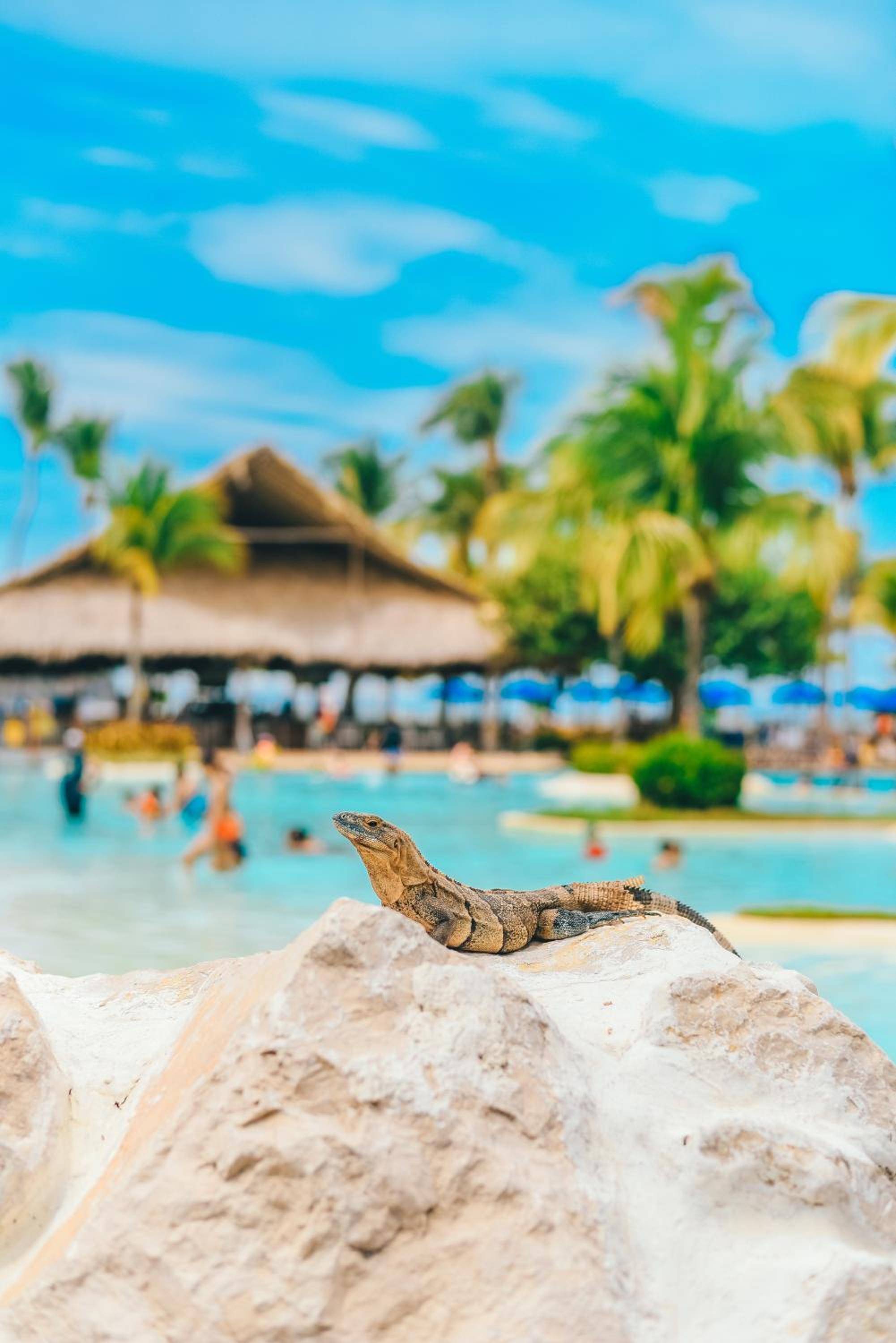 Fiesta Resort All Inclusive Central Pacific - Costa Rica