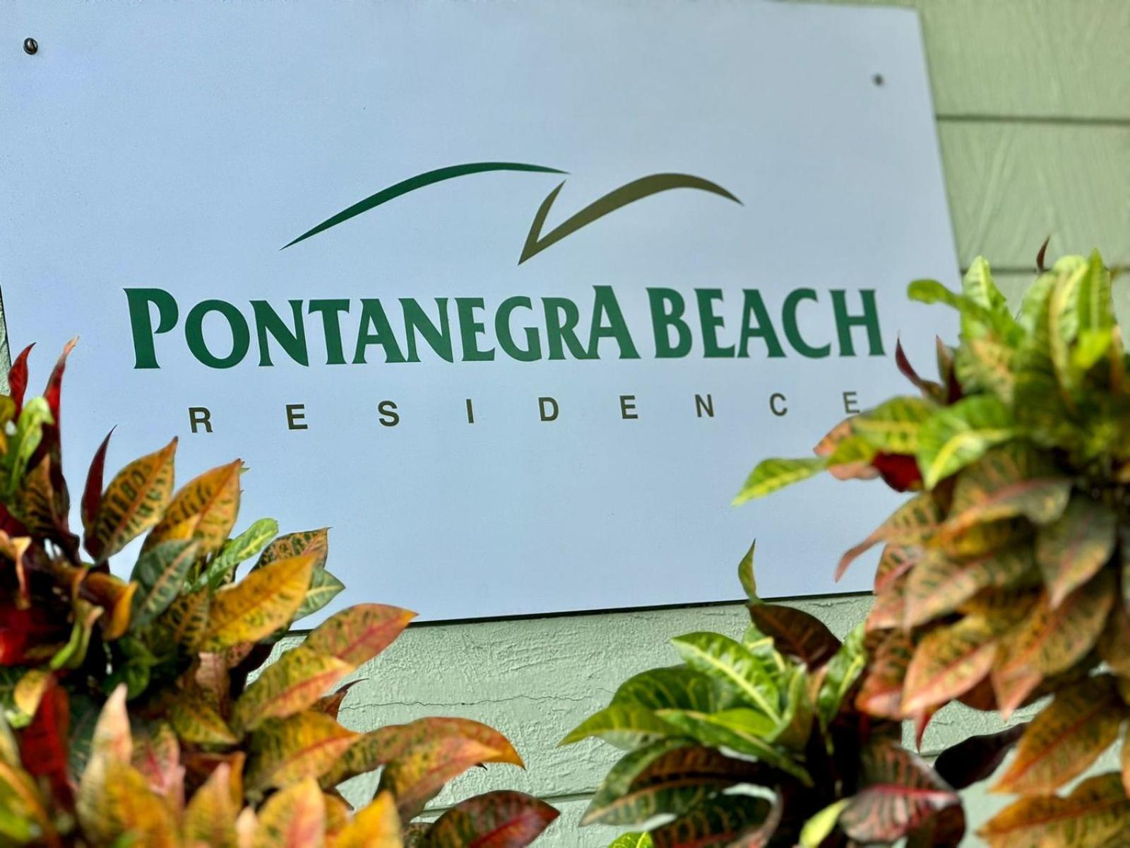 Edy hospedagens Beira-Mar flat 310 com vista para o morro do careca, piscina e localização privilegiada